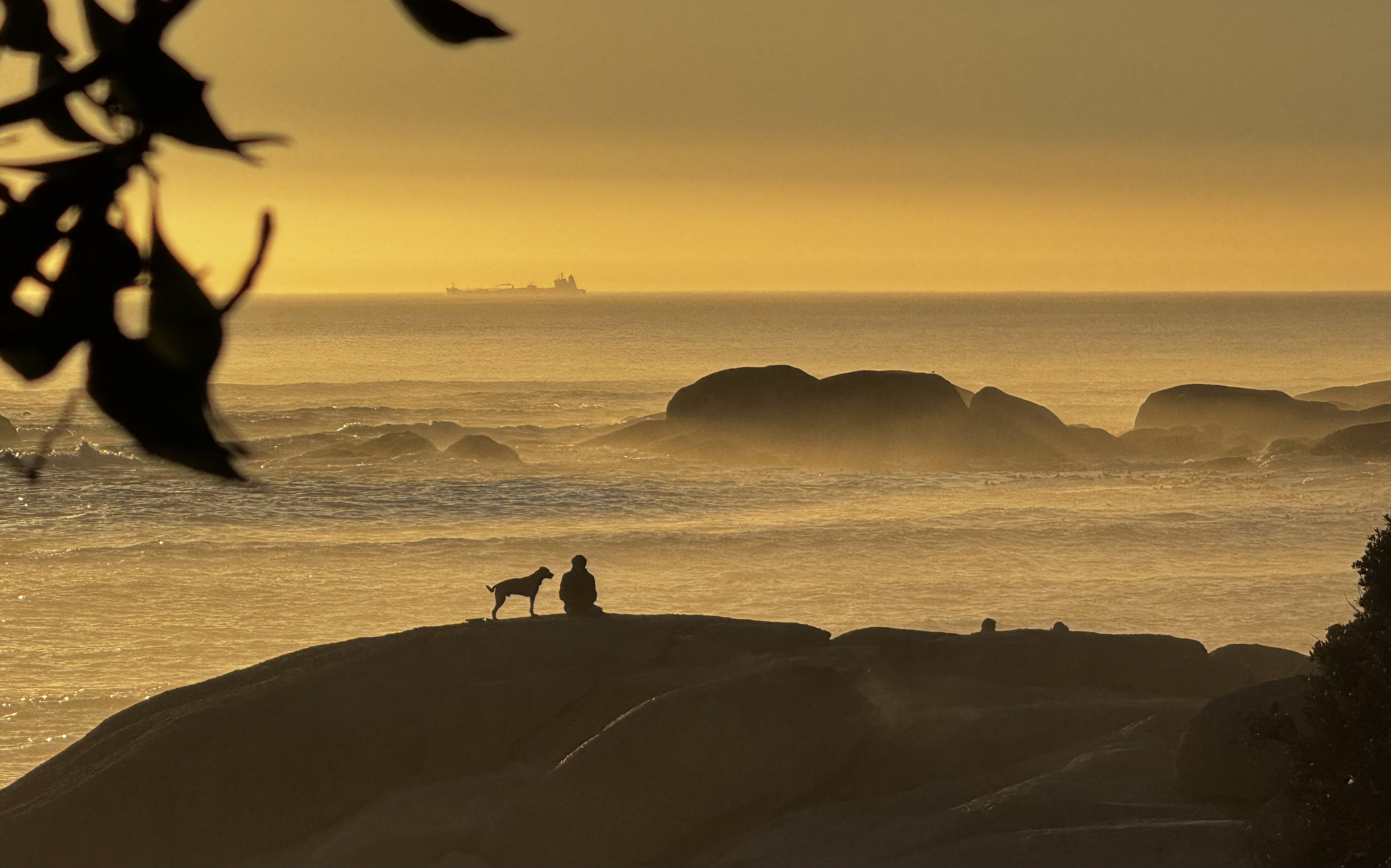 Portrait of Best Friends at Sunset