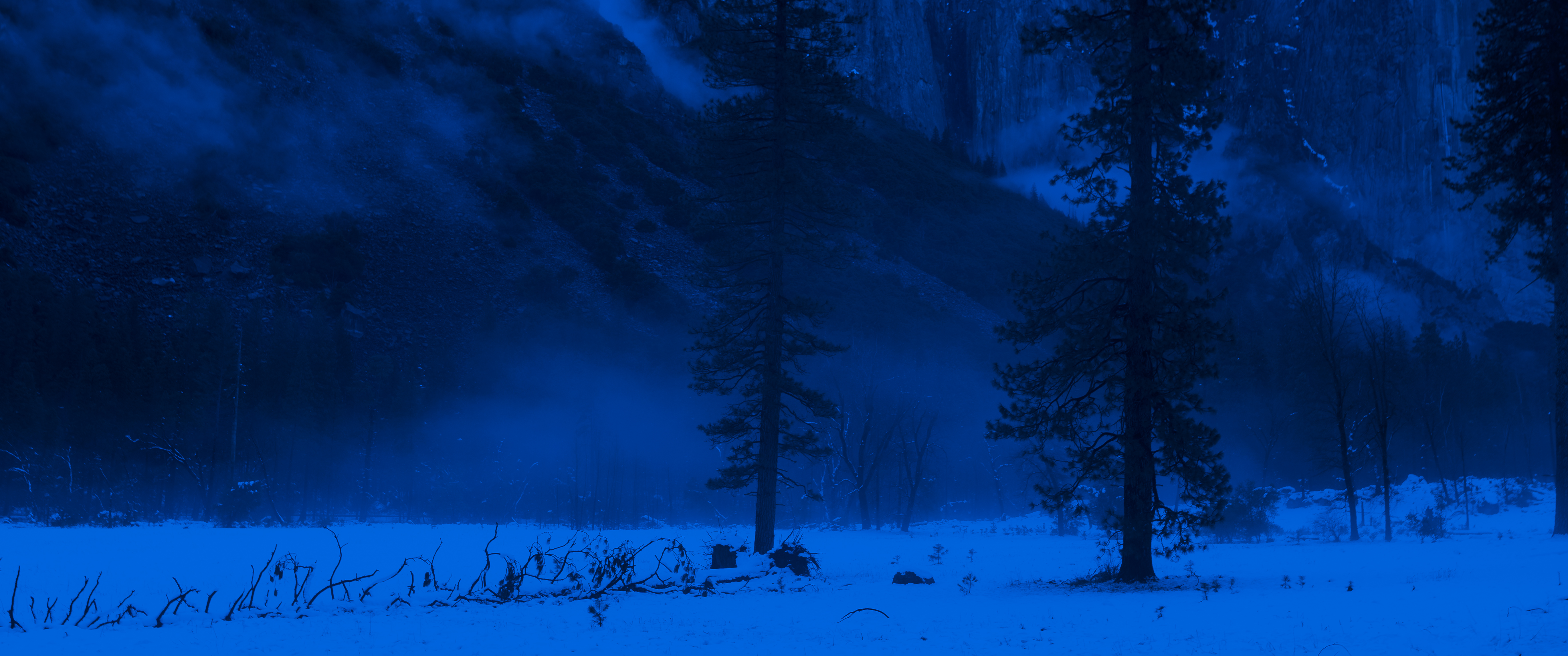 silence in blue