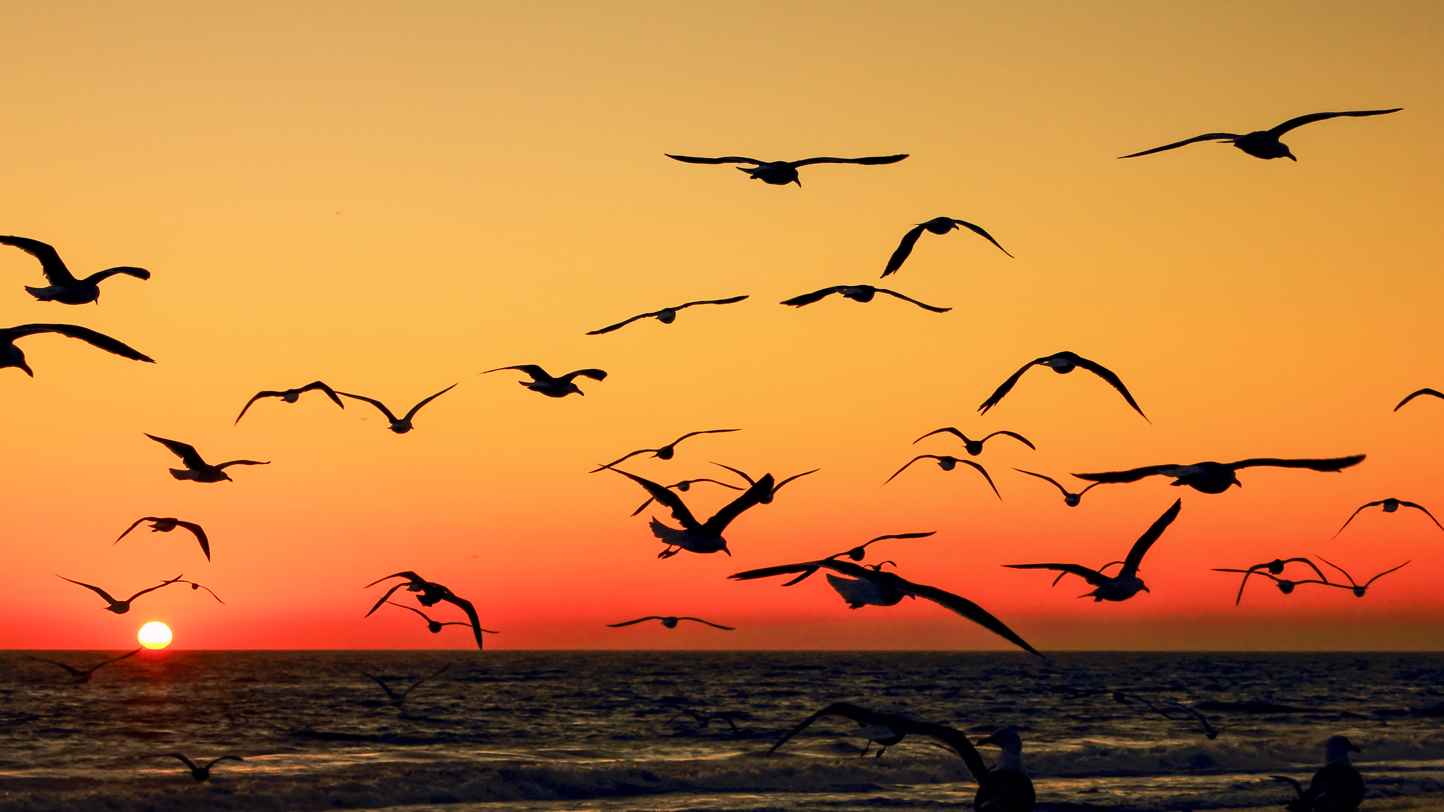 Sunset at Malibu Beach, CA