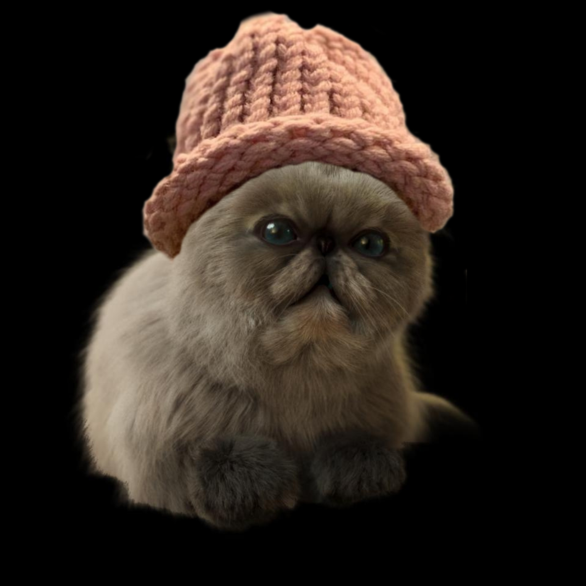 Miggles wif hat #132