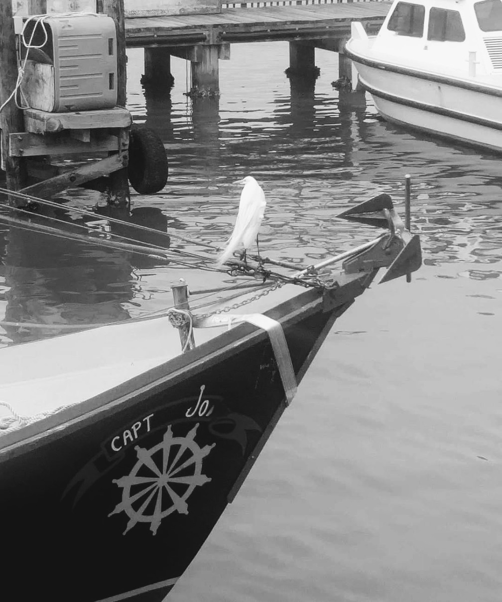 Capt Jo
