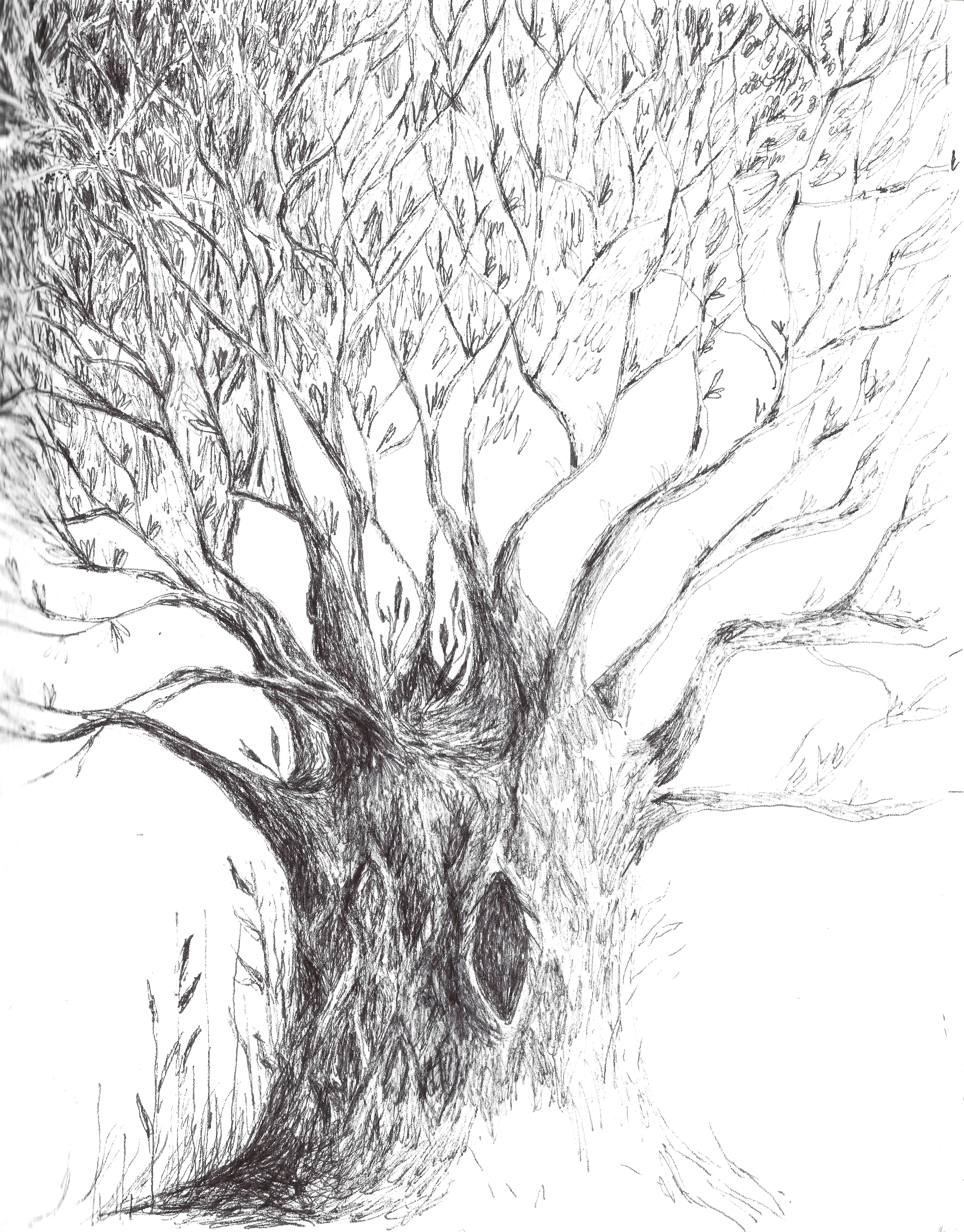 magic tree