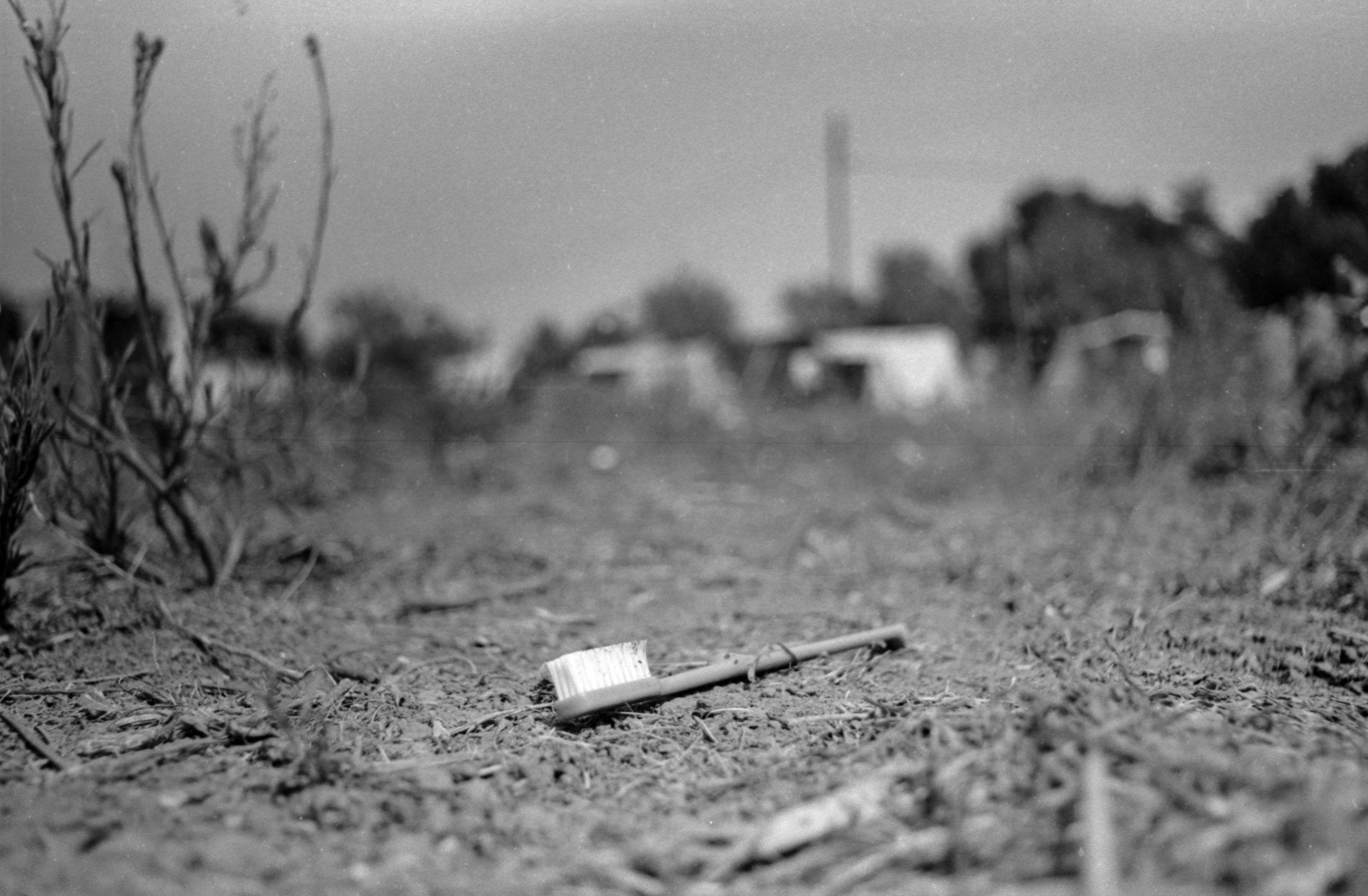 Toothbrush (The Greece Files #2)