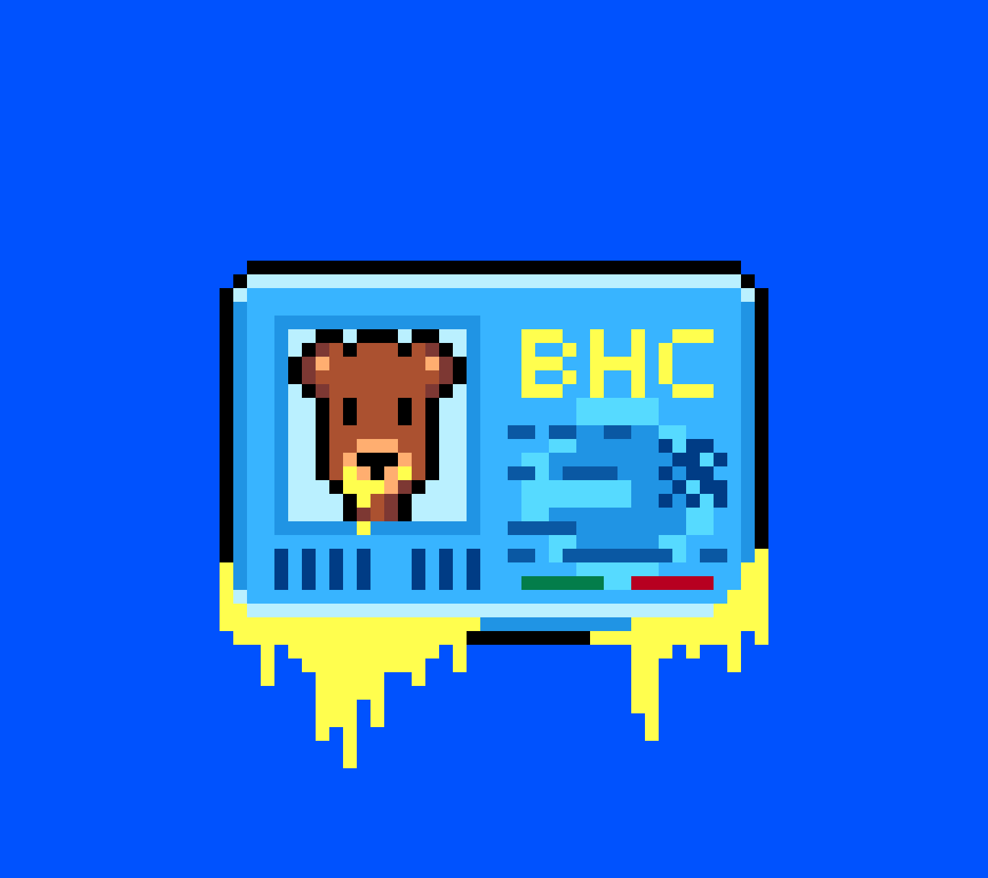 BHC-ID-Card