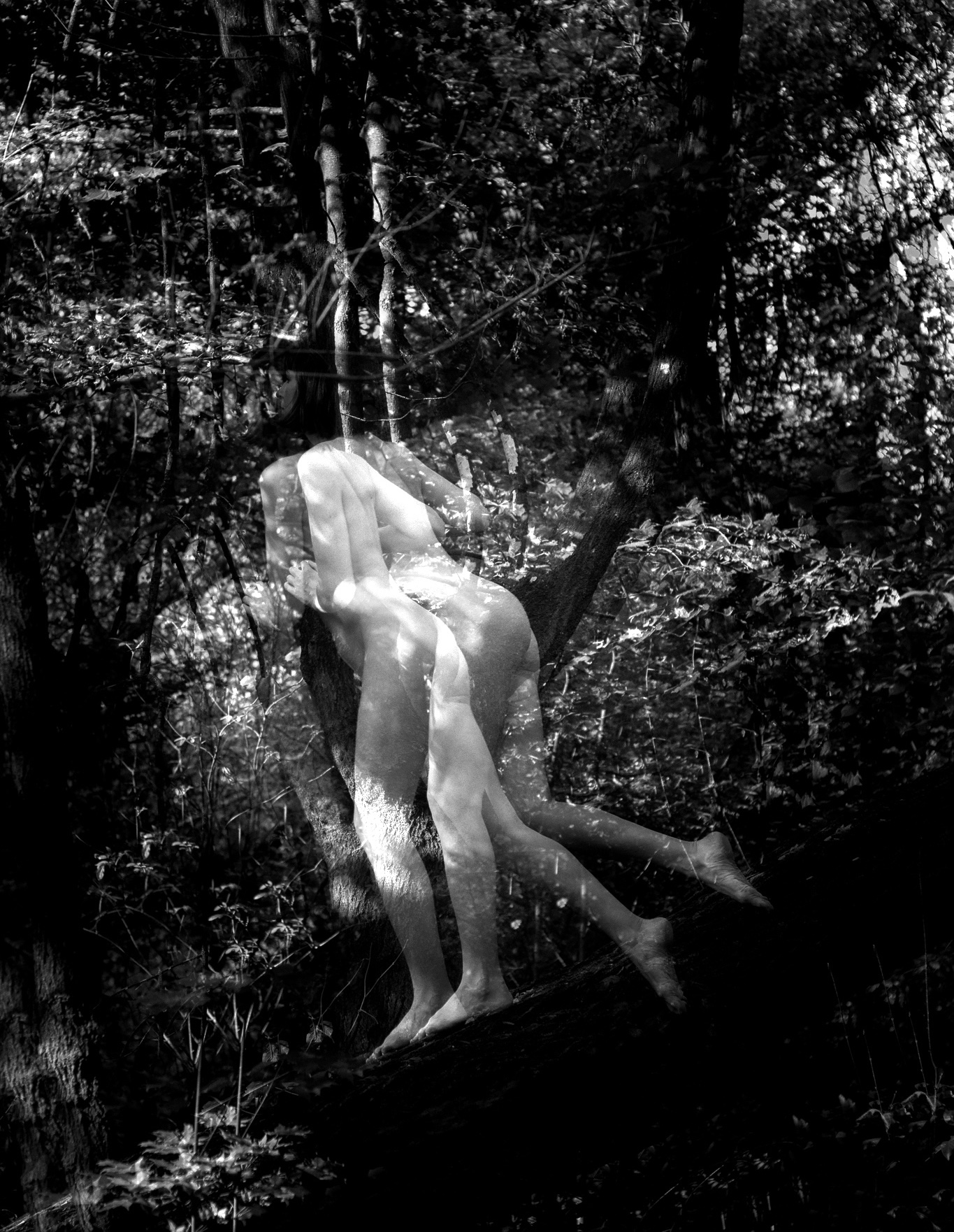 Light and dark and everything in between