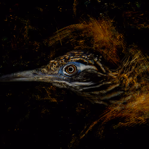 Painted Predator