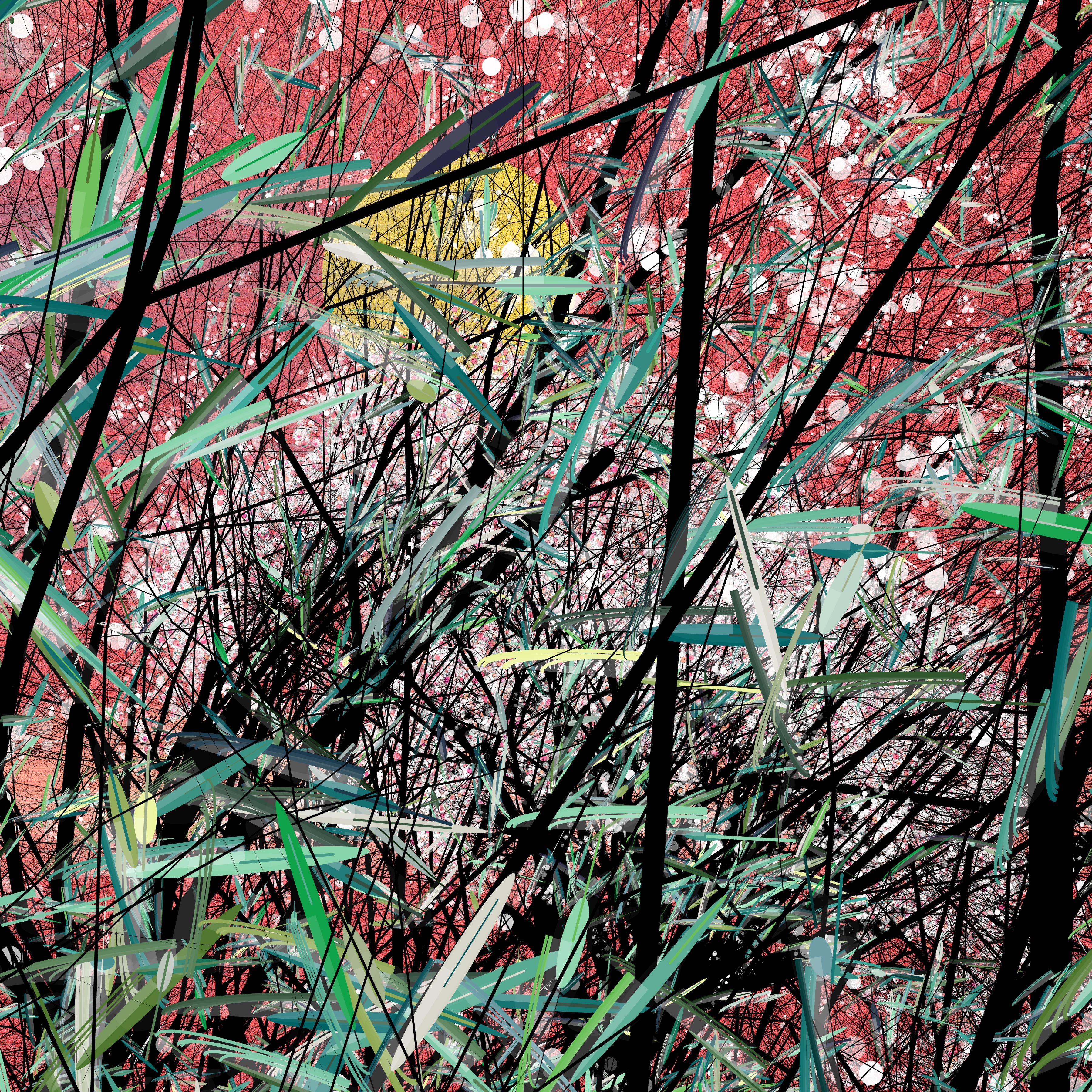 conversation with the wind