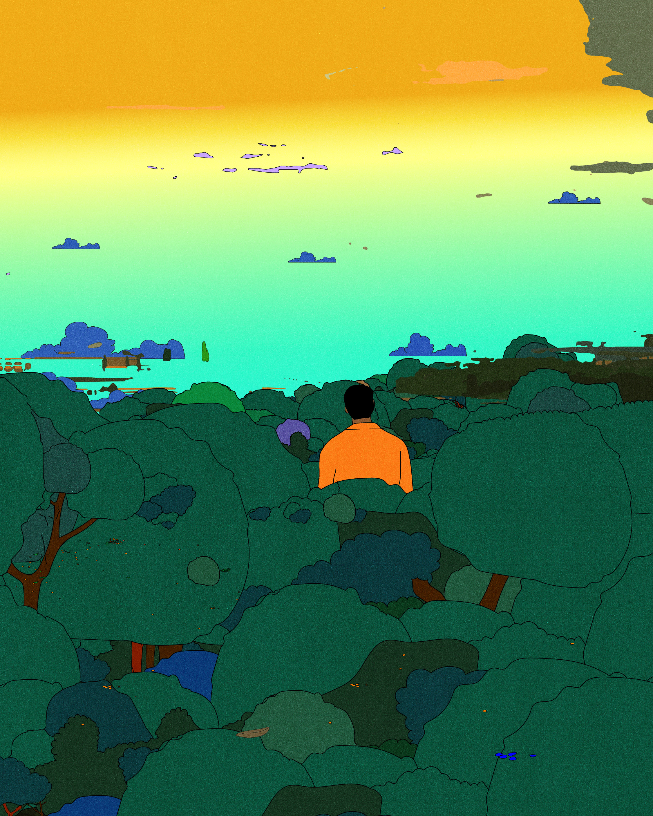 I see you in the distance