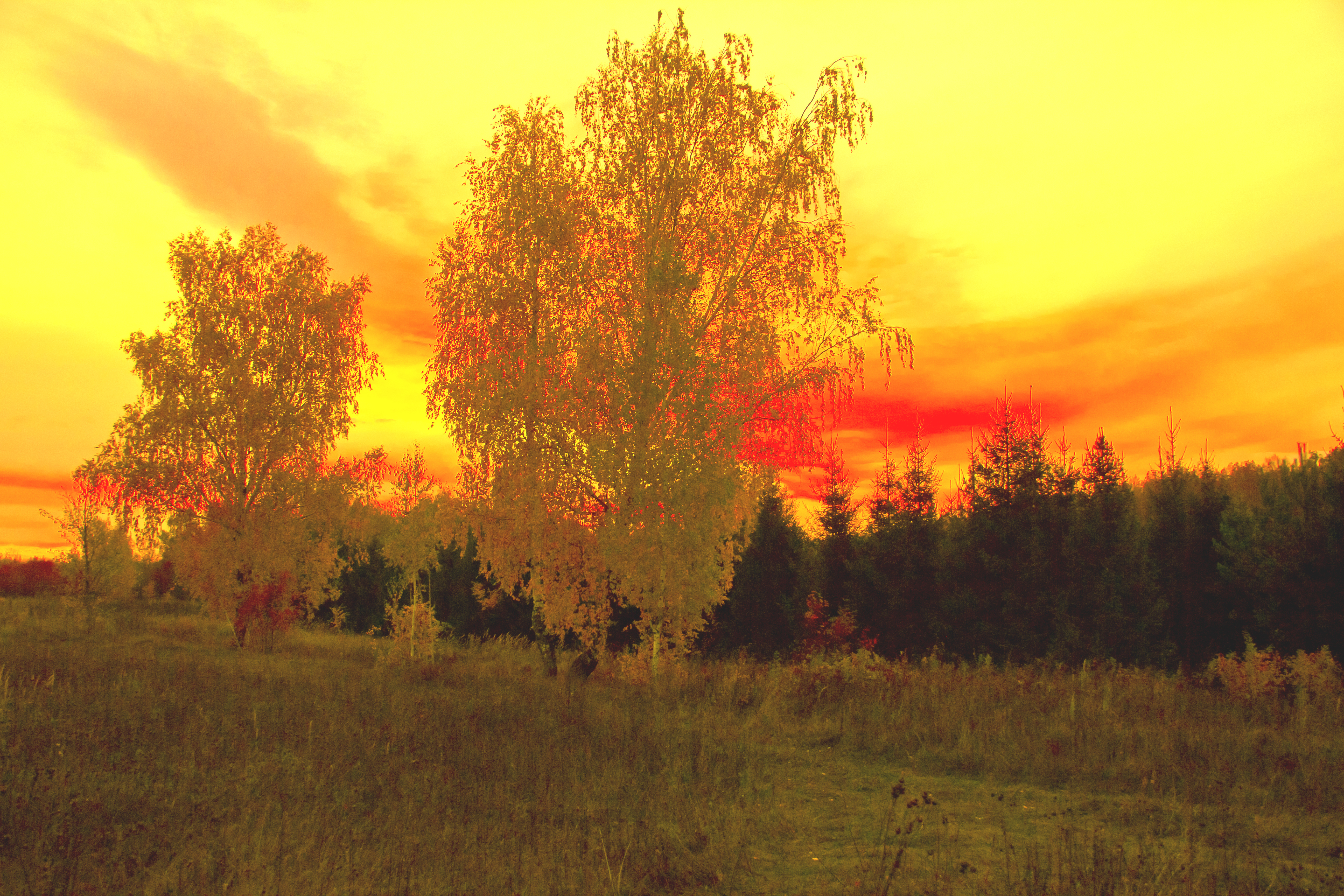 PICTURESQUE SCENERY 0174