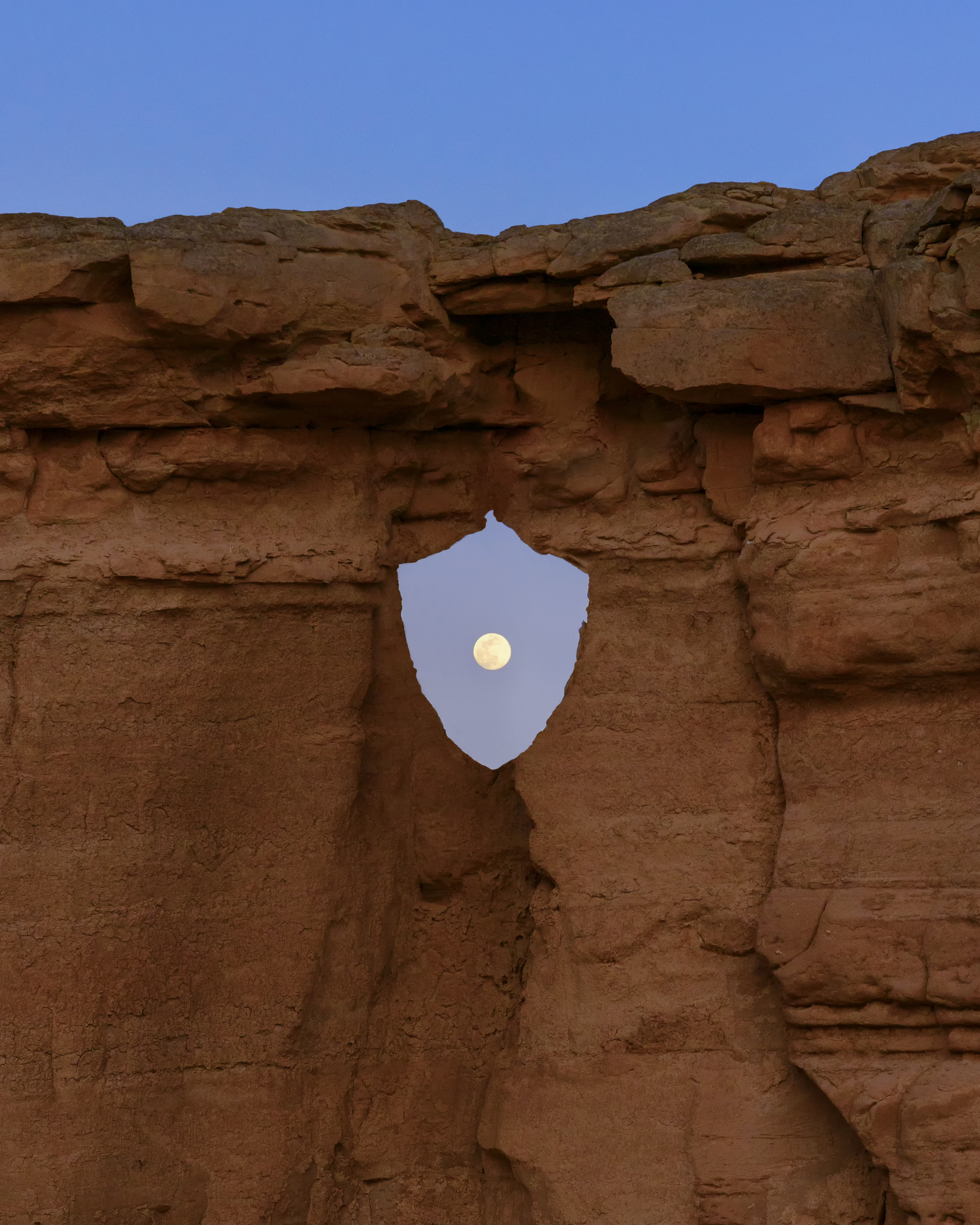 Nature Stands with Crypto #729