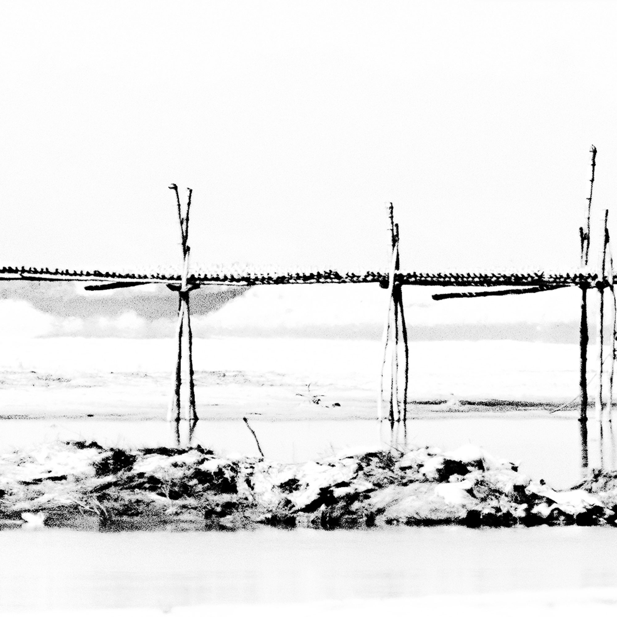 Bridging the River #3