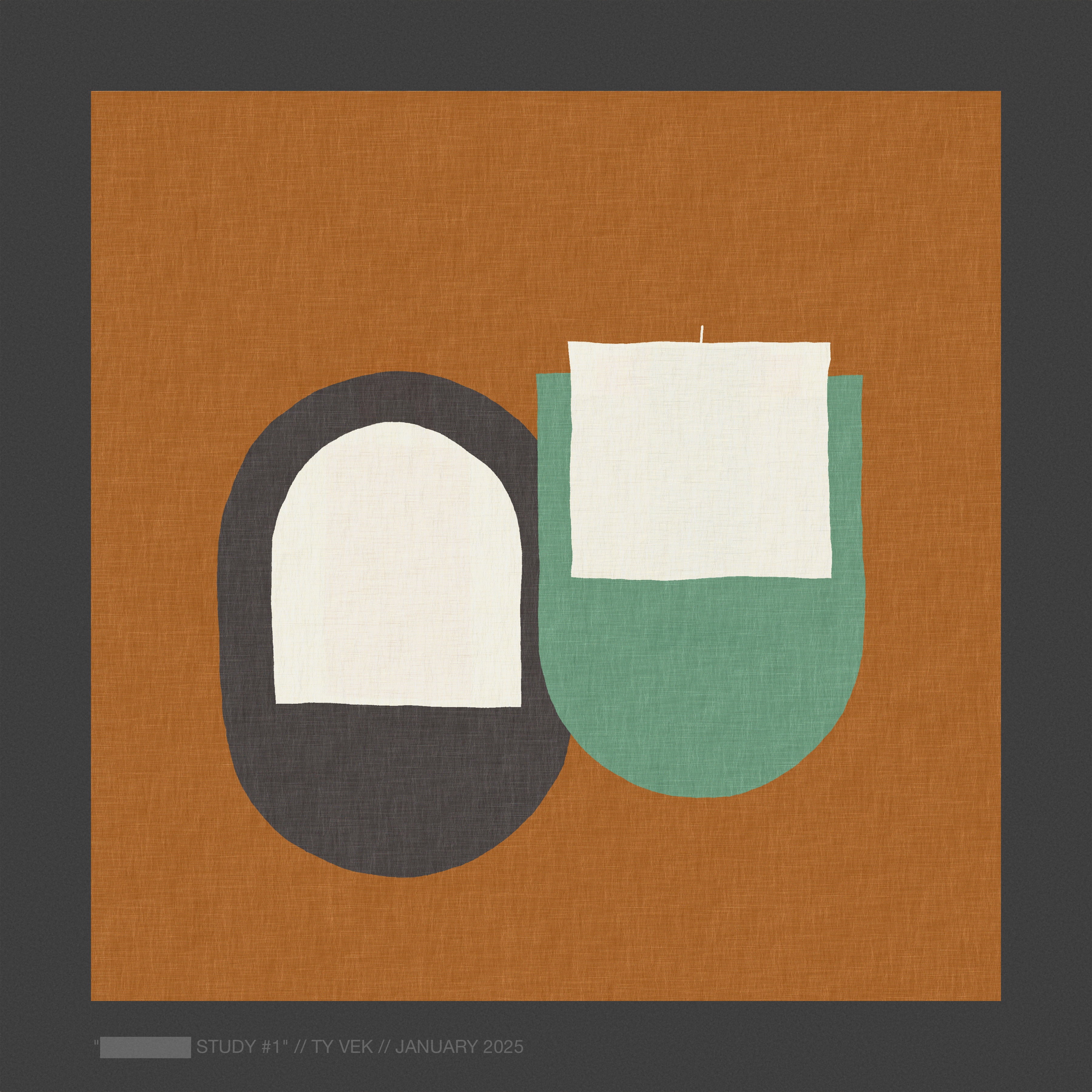20250114-█████-study-001.jpg