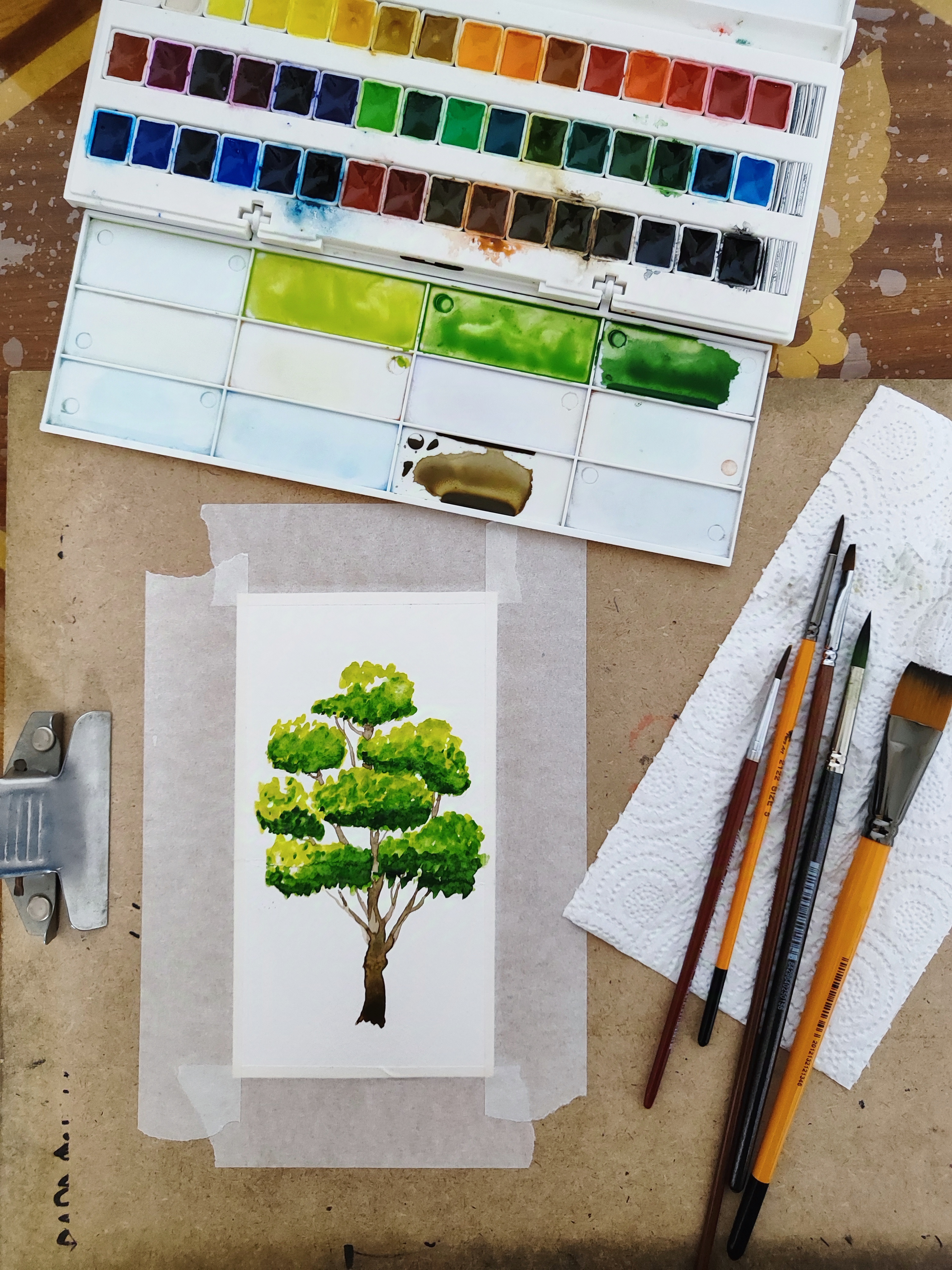First watercolor tree #13