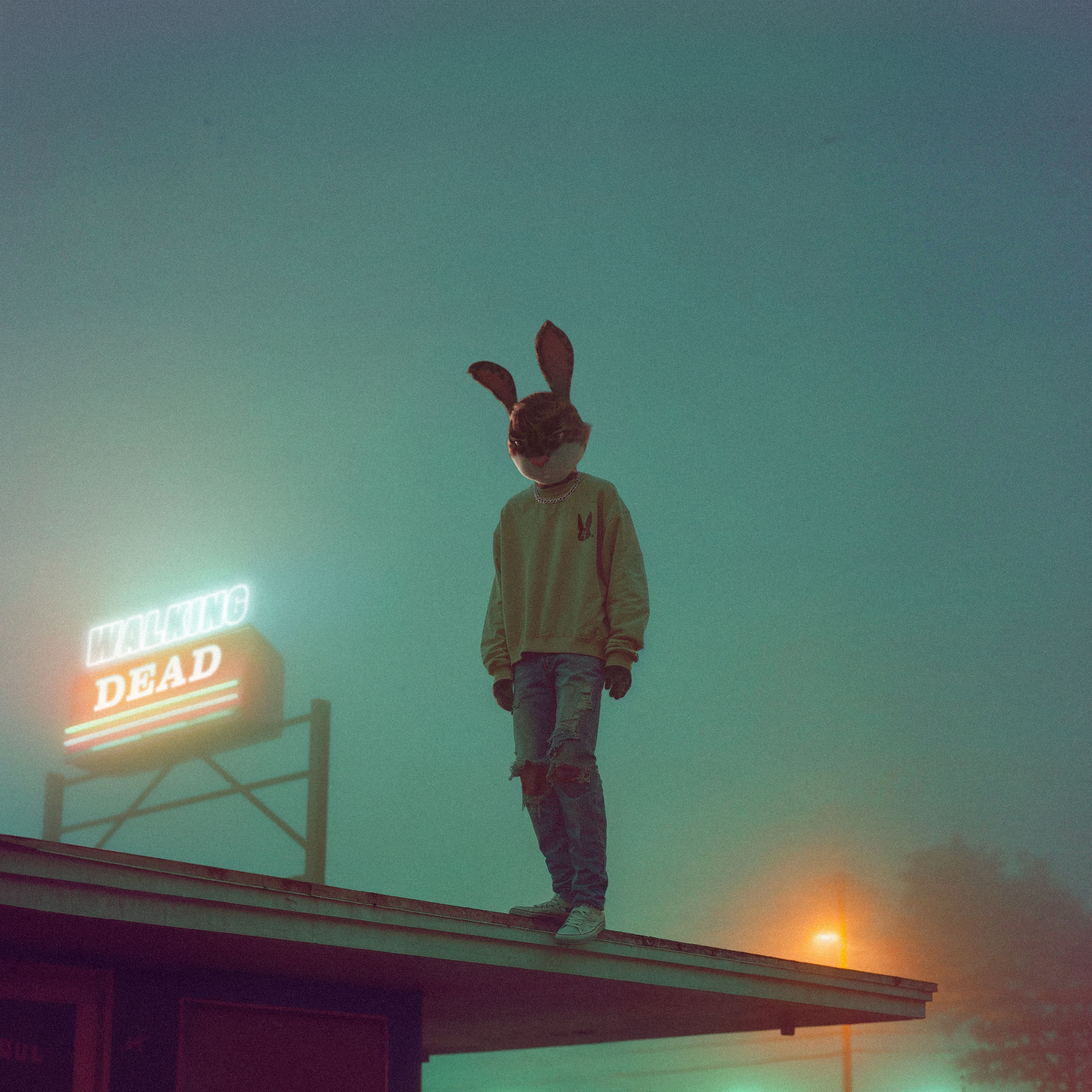 angelbaby - walking dead 1607