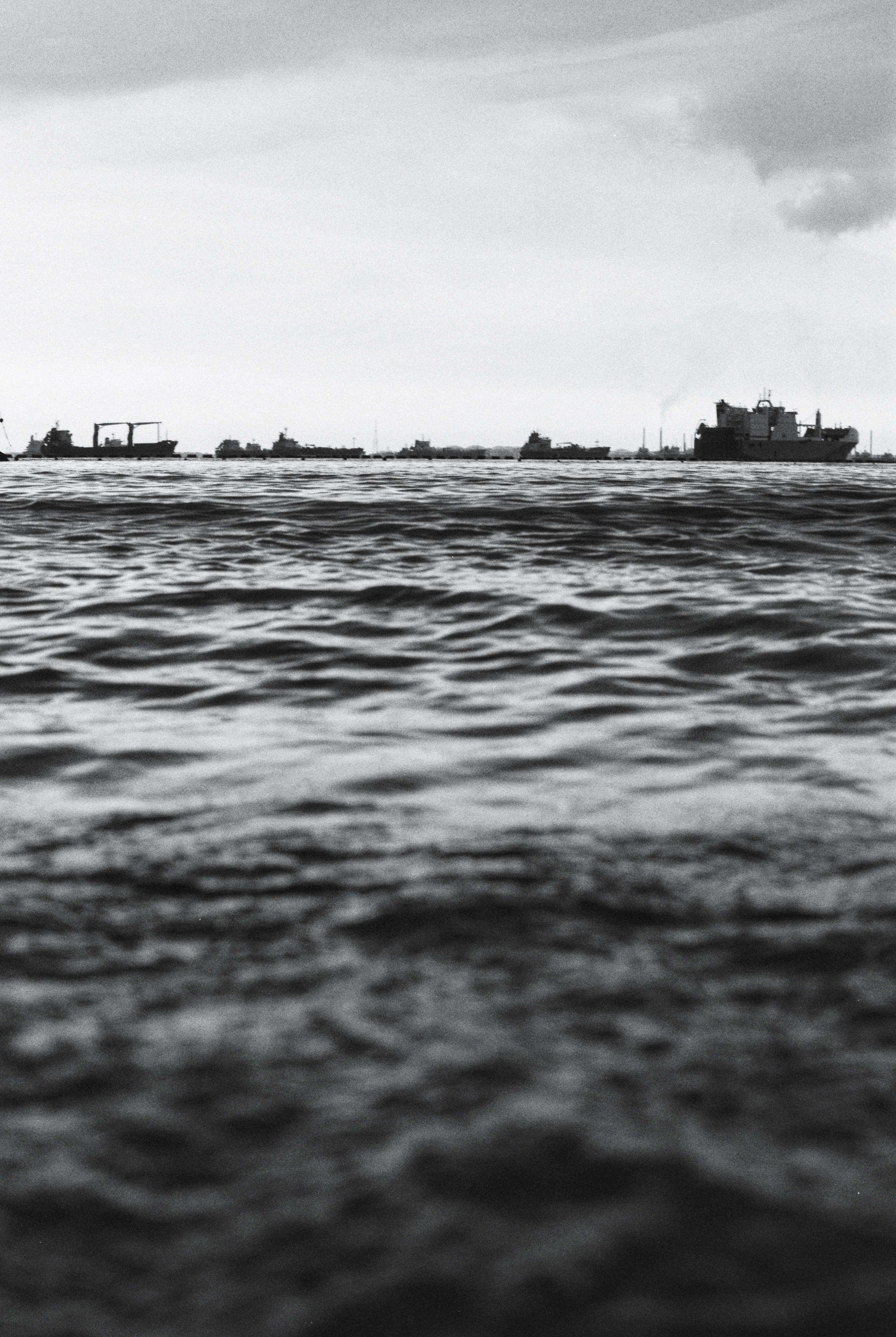 Monochrome Moments - 2