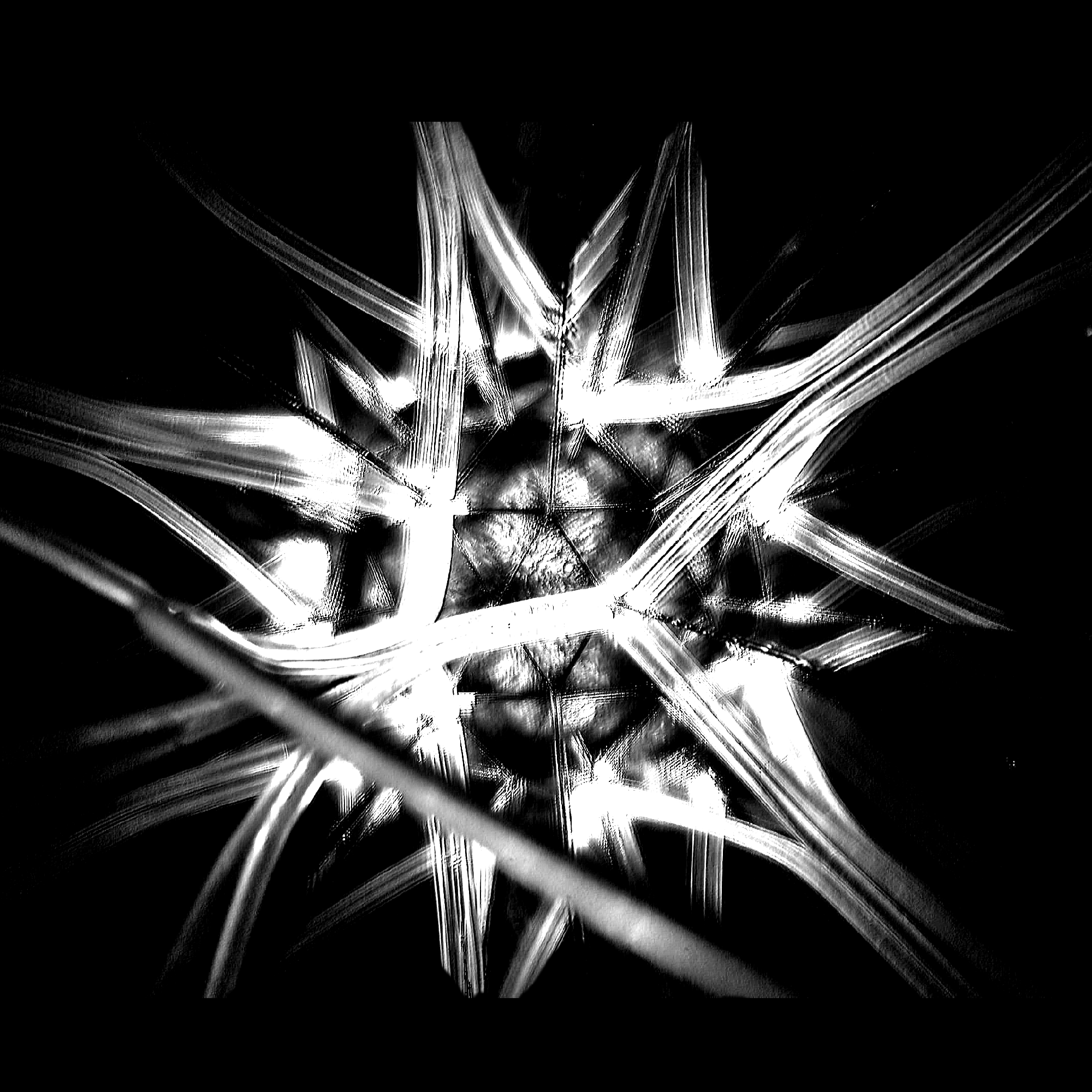 Supernova #24