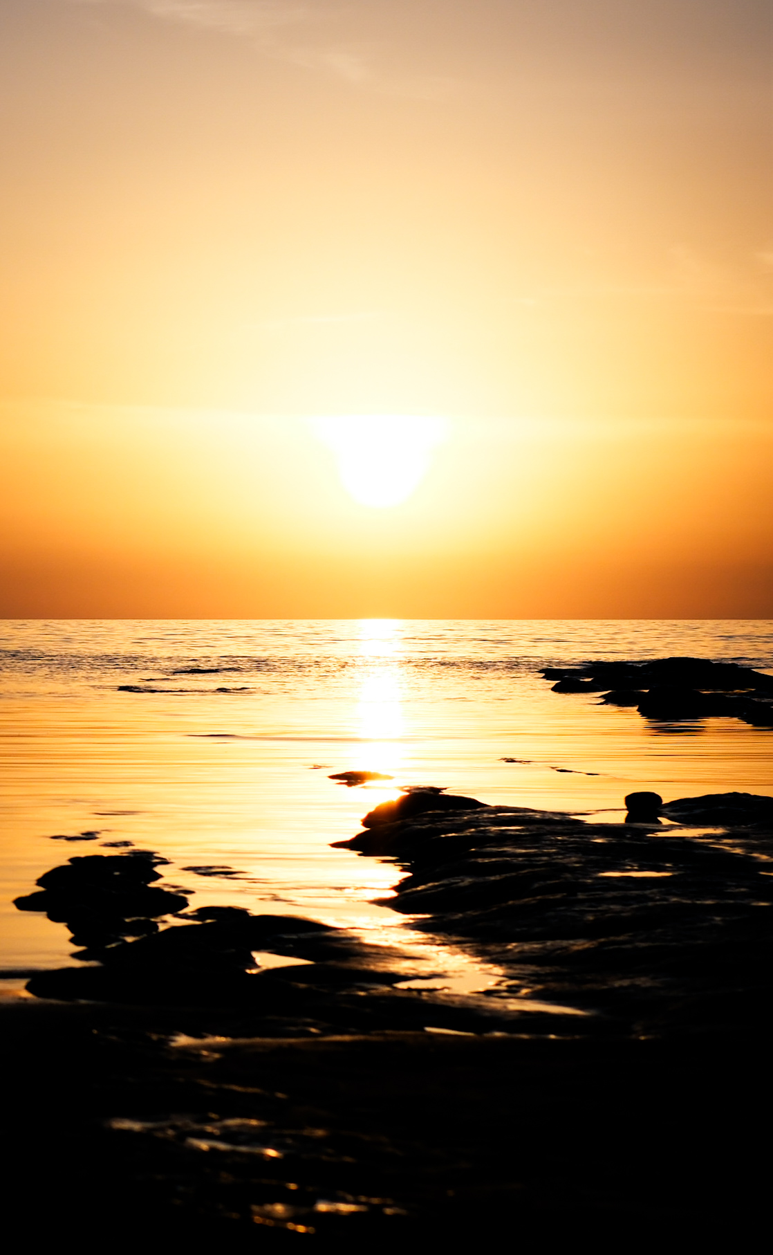 don’t give up 🕊️