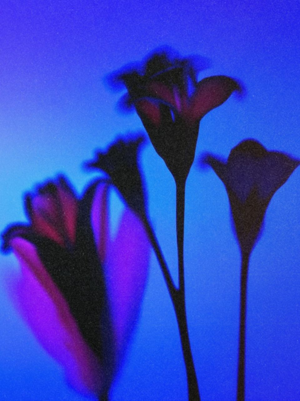 💙🦋🐟