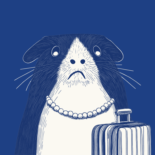 Zoolini - Guinea Pig