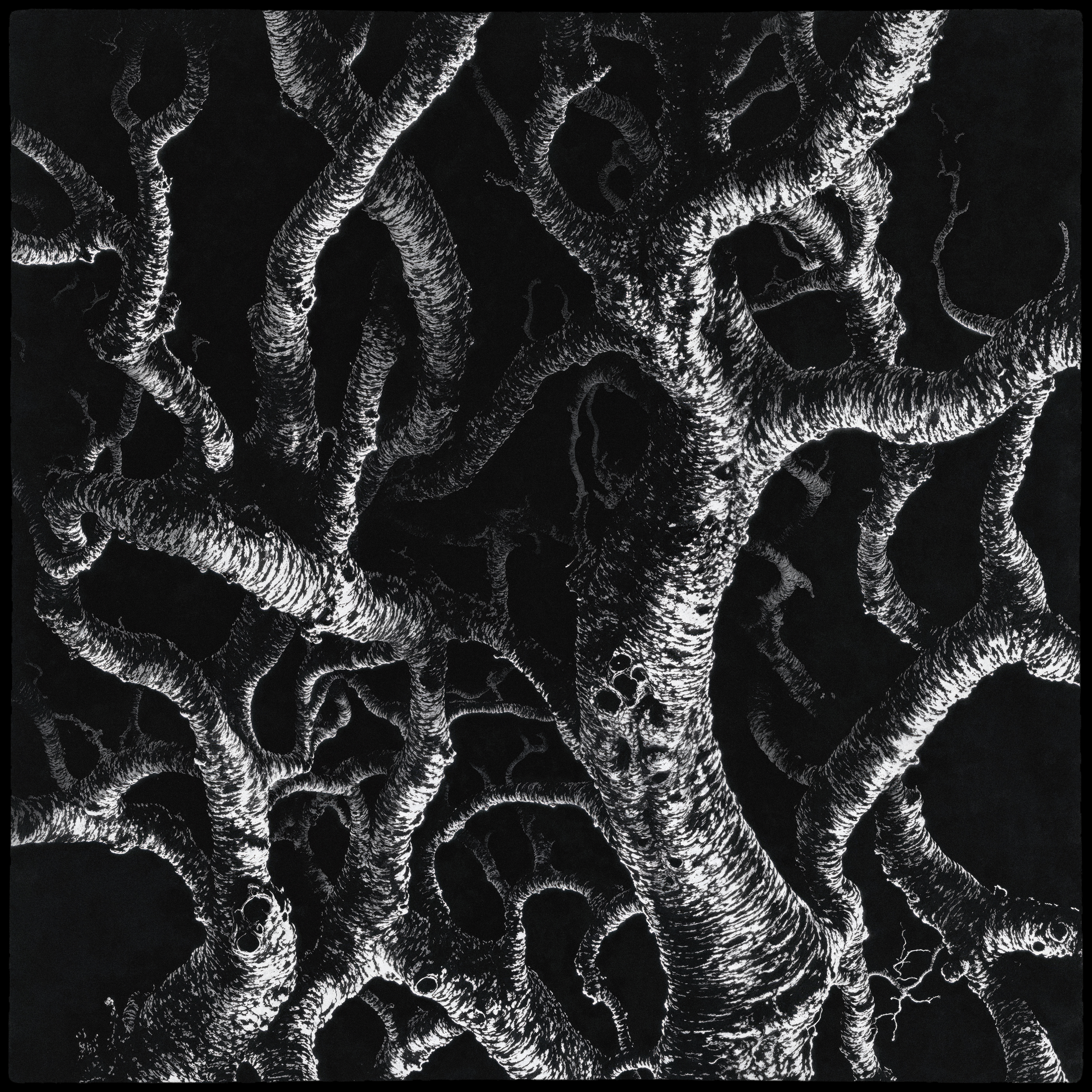 "roots and branches" #43