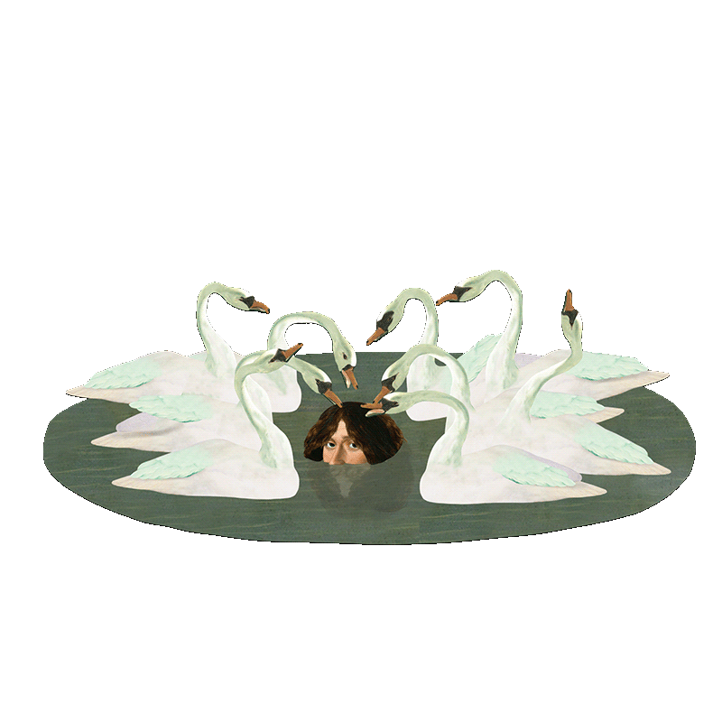 Swan Lake