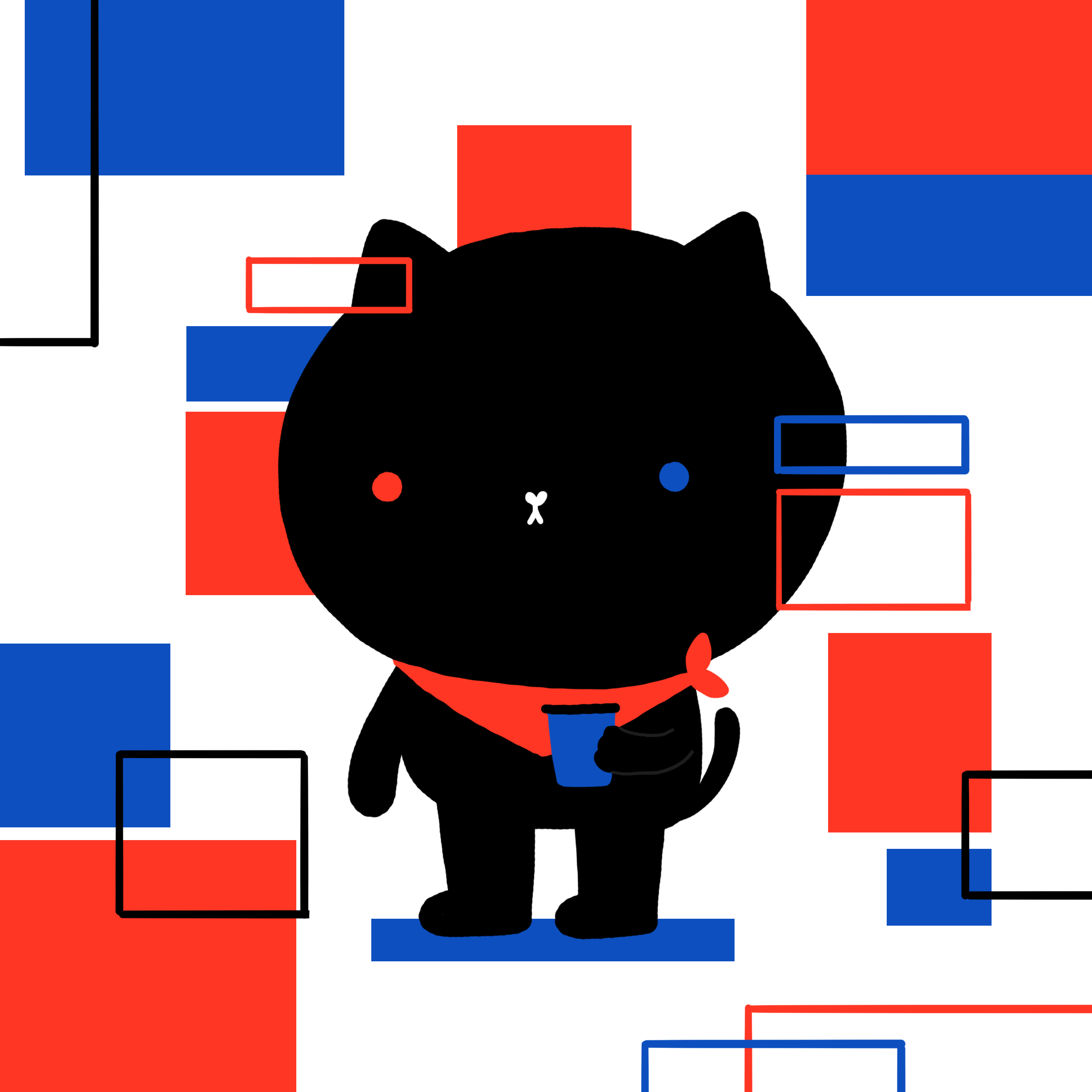 Black cat