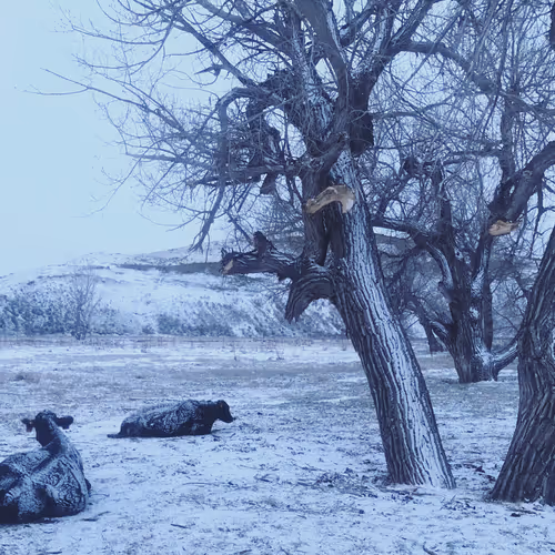 baby it’s cold outside