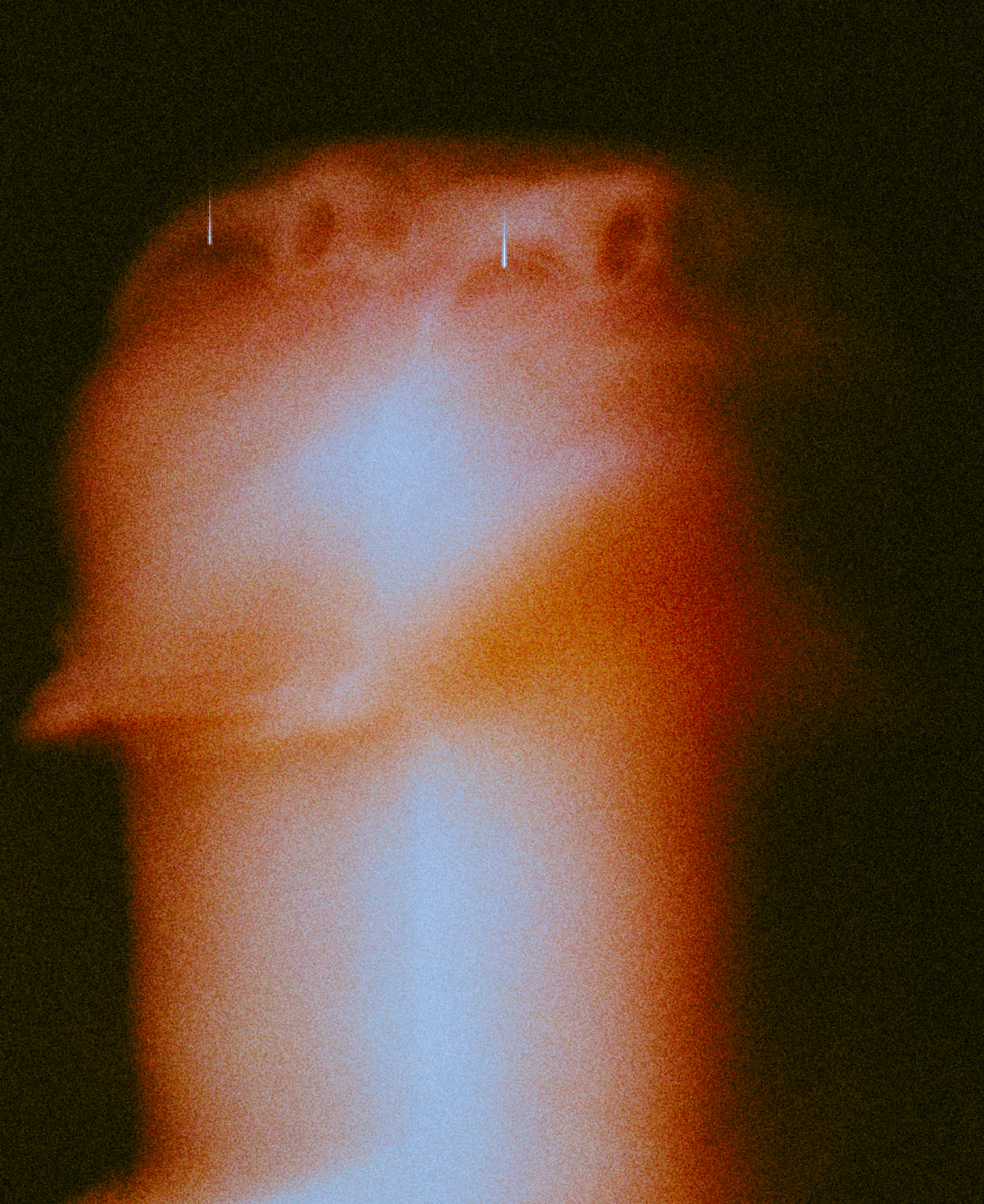 Elar - 1 frame, detail