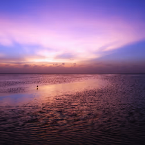 Colorful Sunset