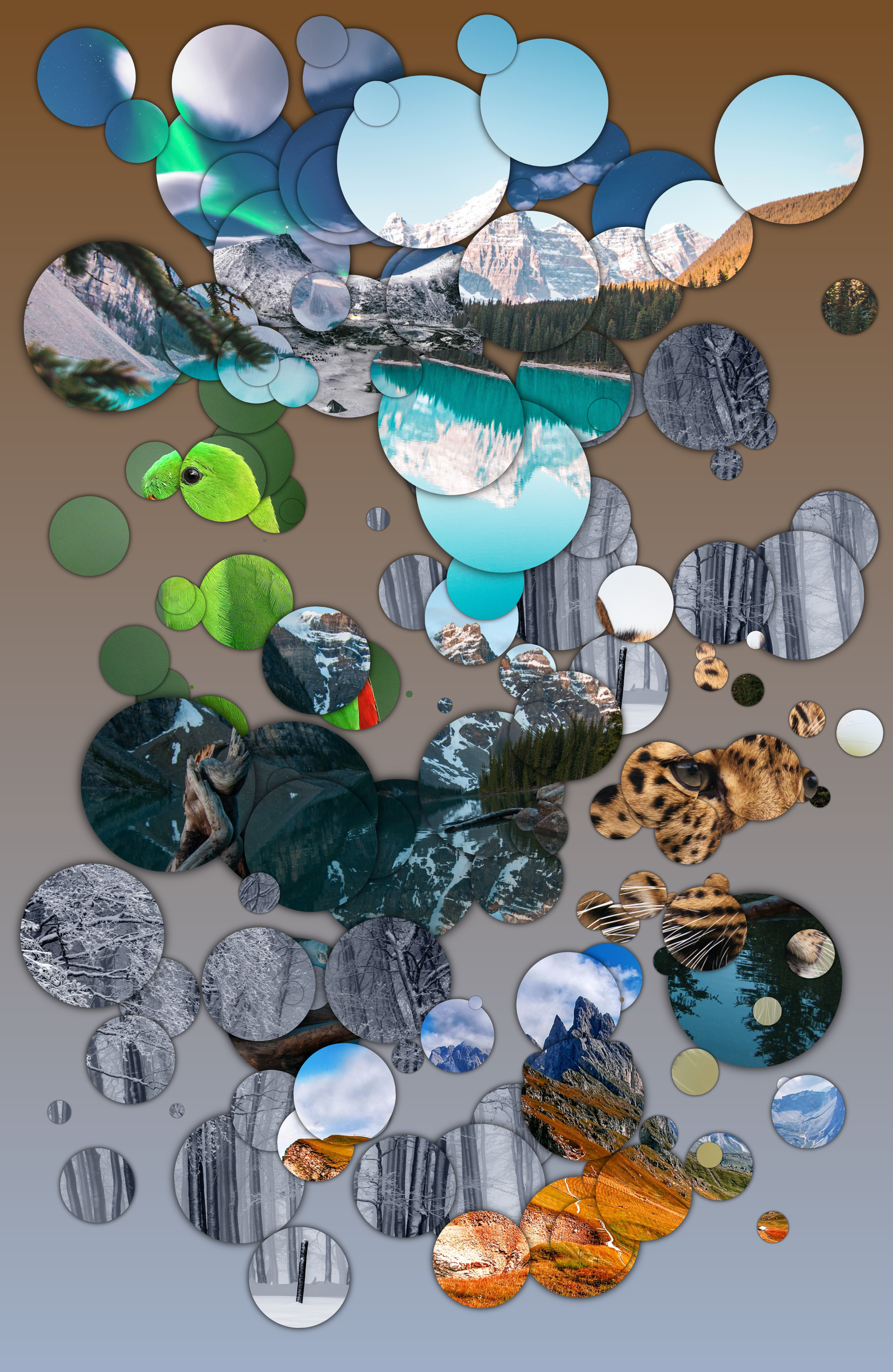ORBStract IV