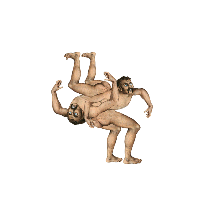 Man Circus
