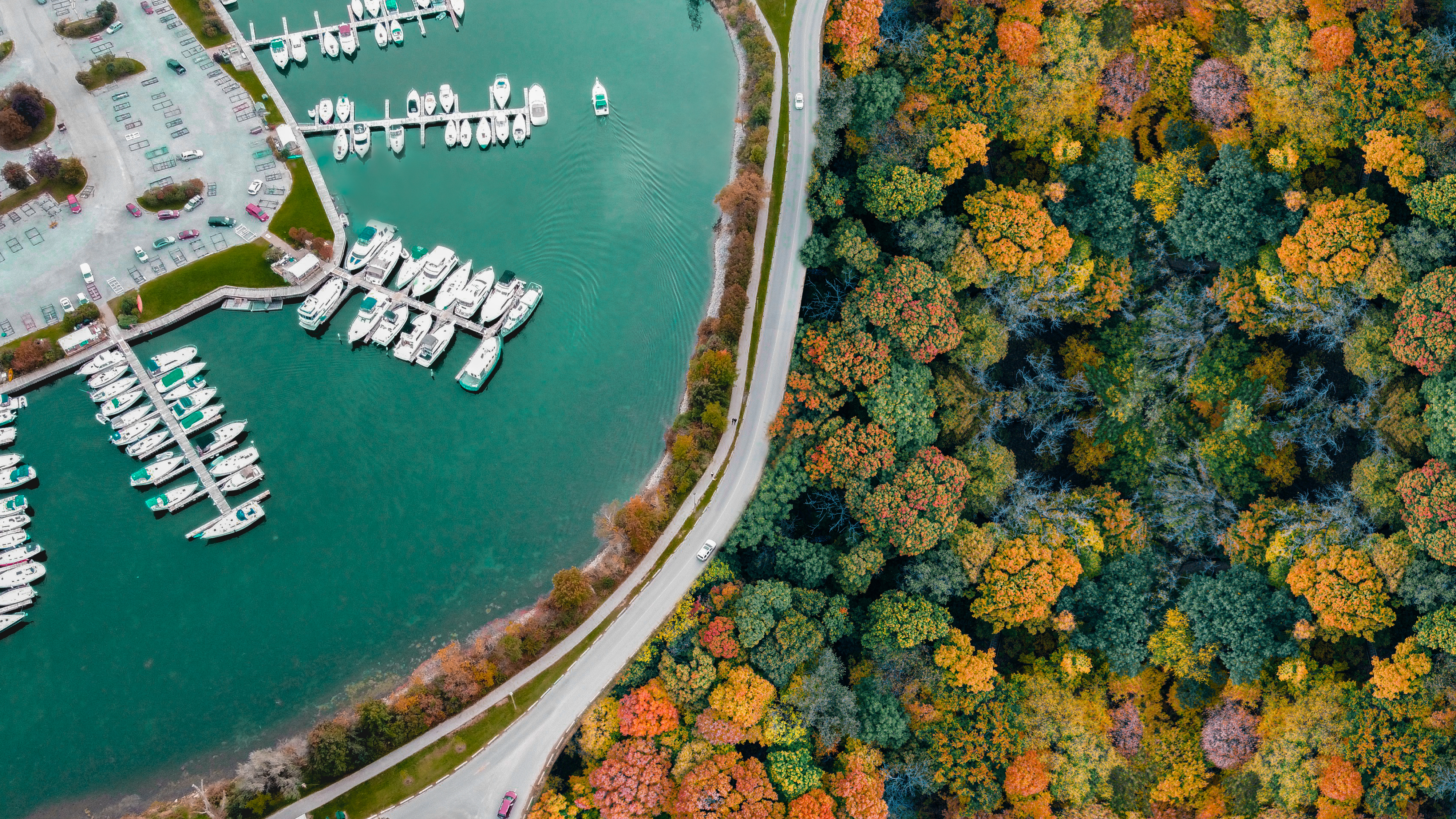 Autumn from Above #2407