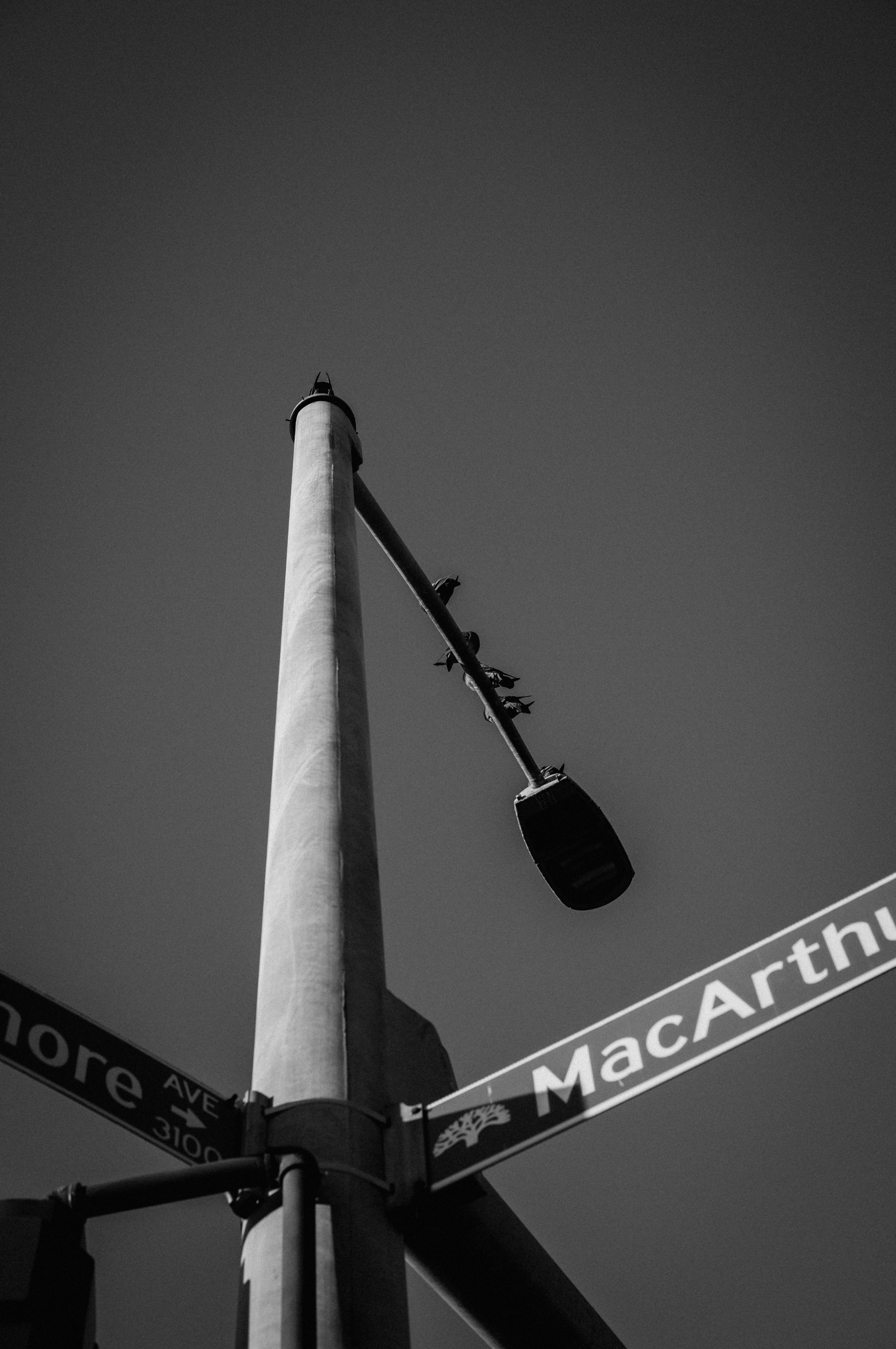 OAK: Every City Onchain - One Thousand Local Currencies 3675