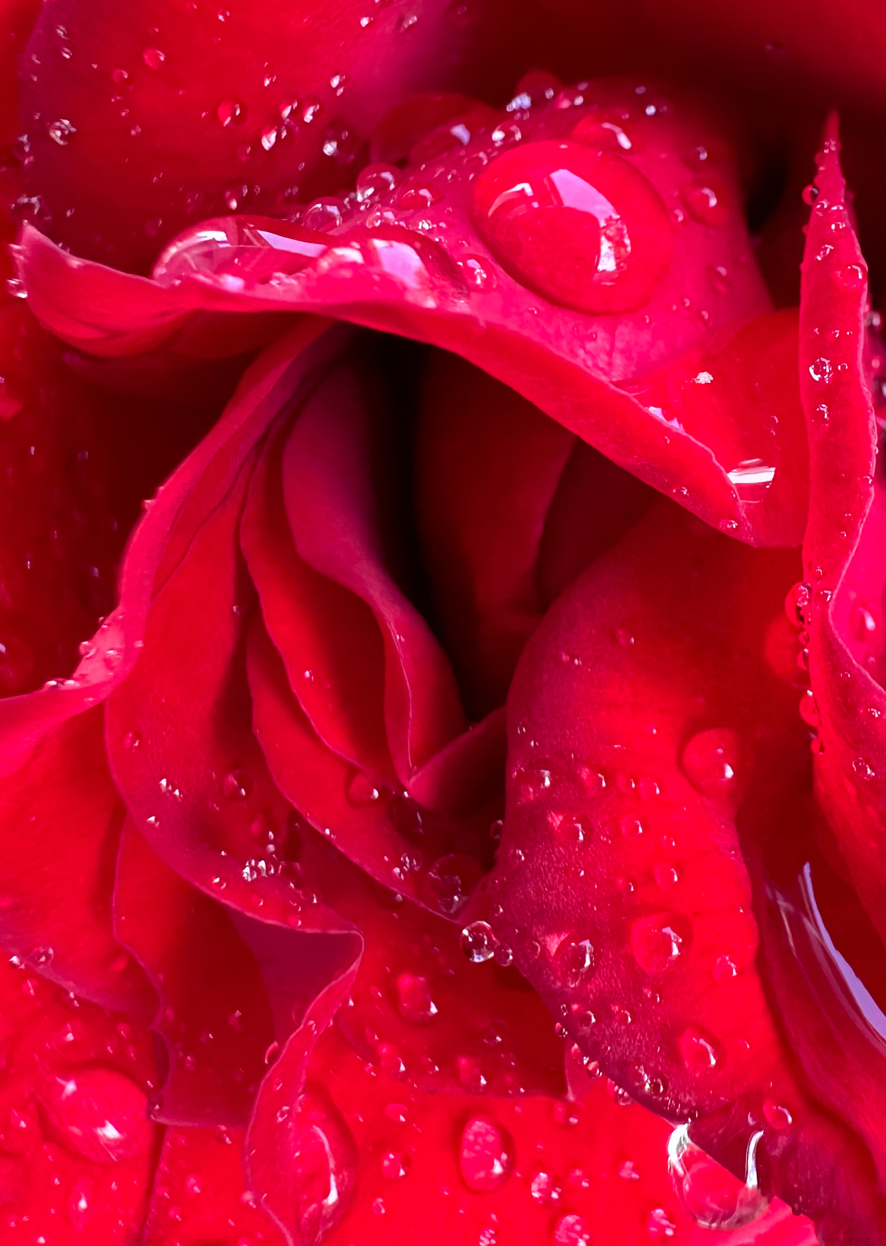 after the rain