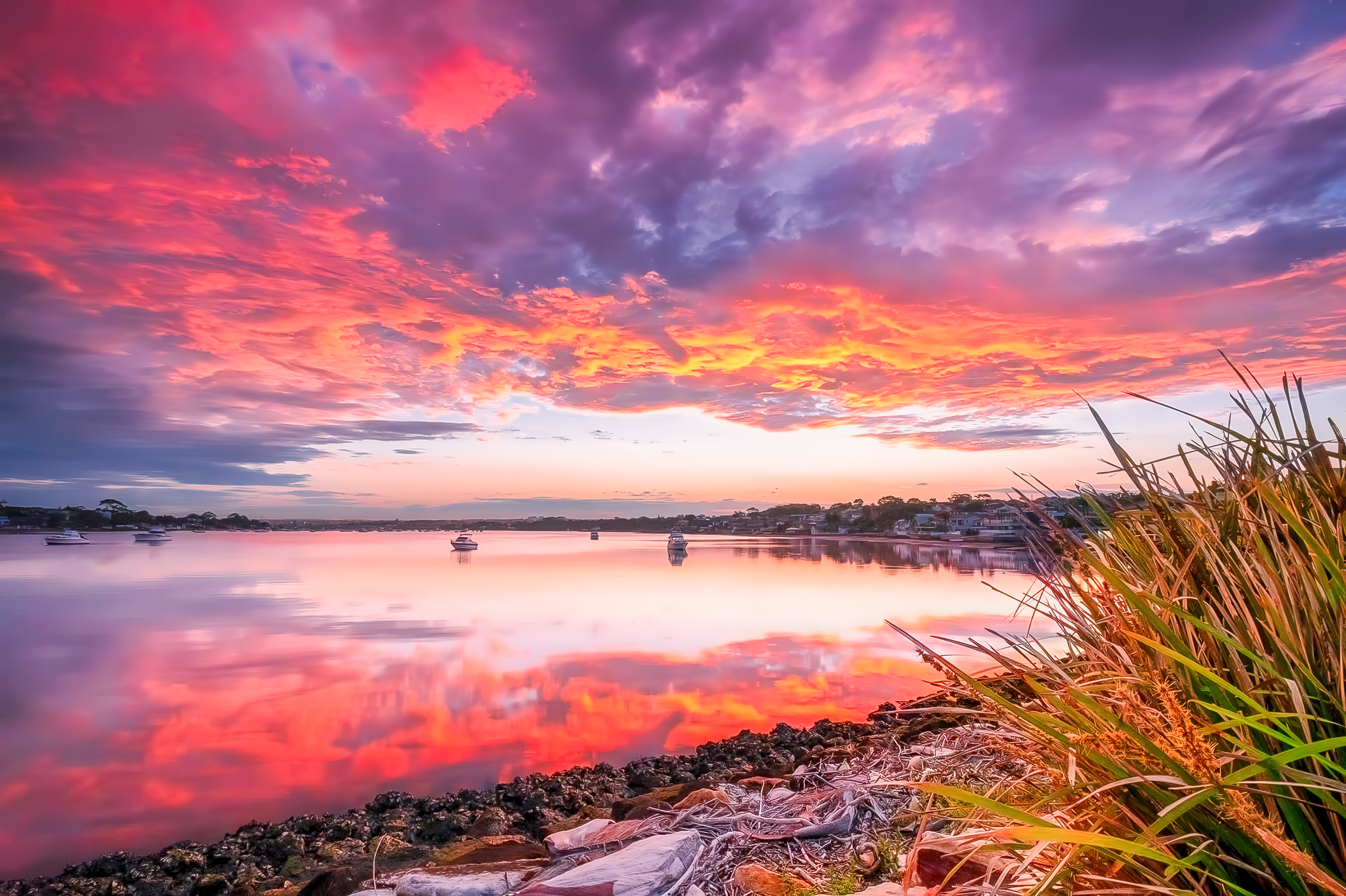 Sunset In The Park #26