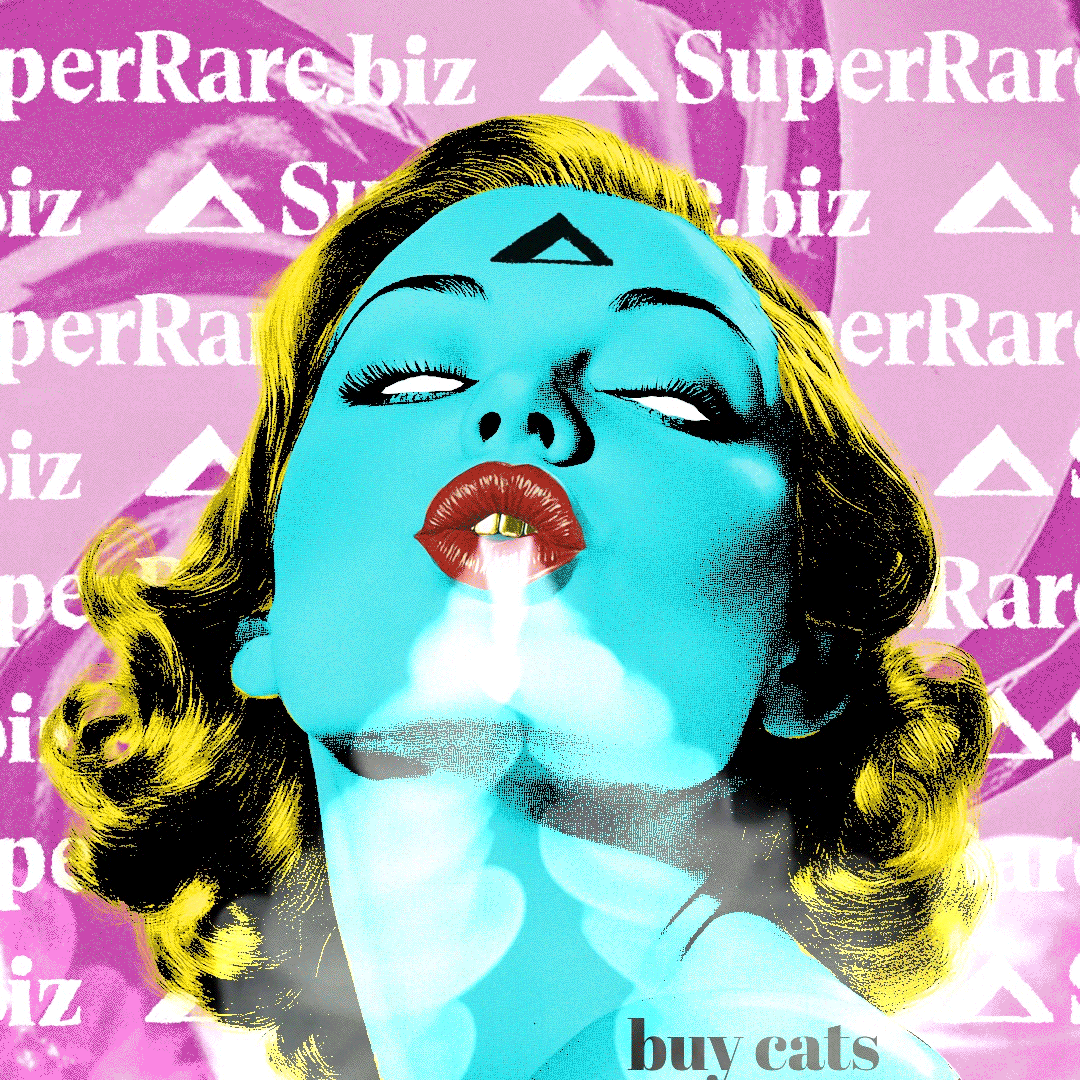 buy cats