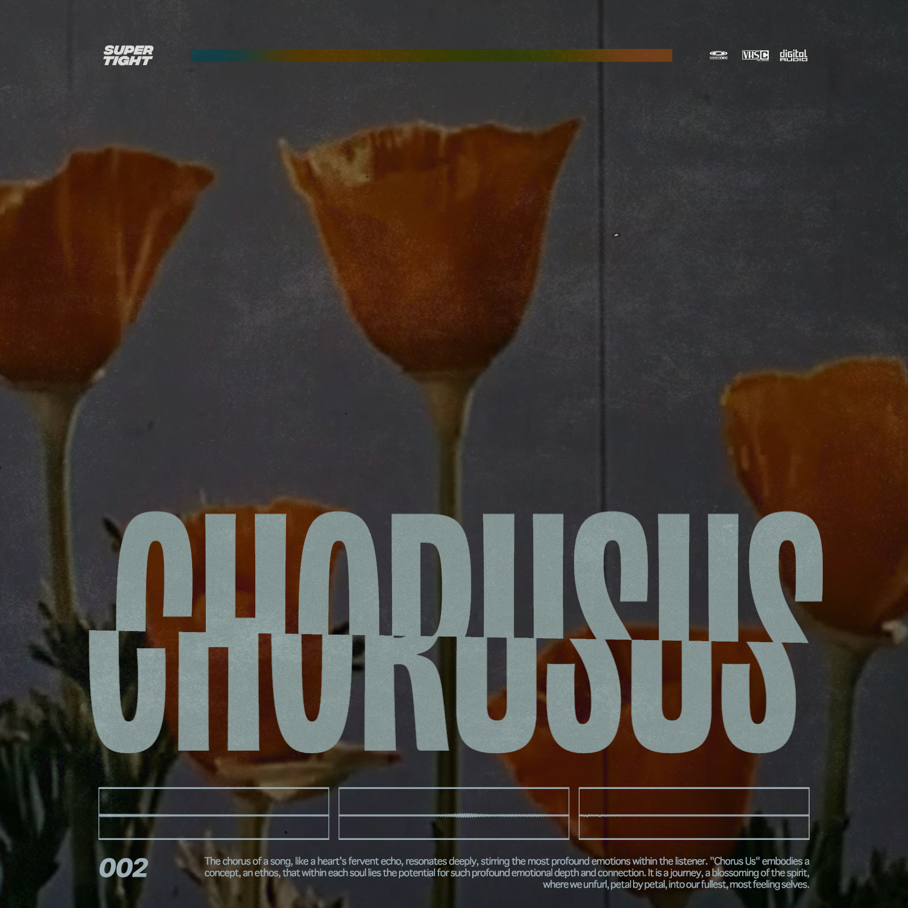 Chorusus