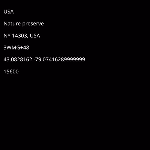 Fan of Niagara Falls