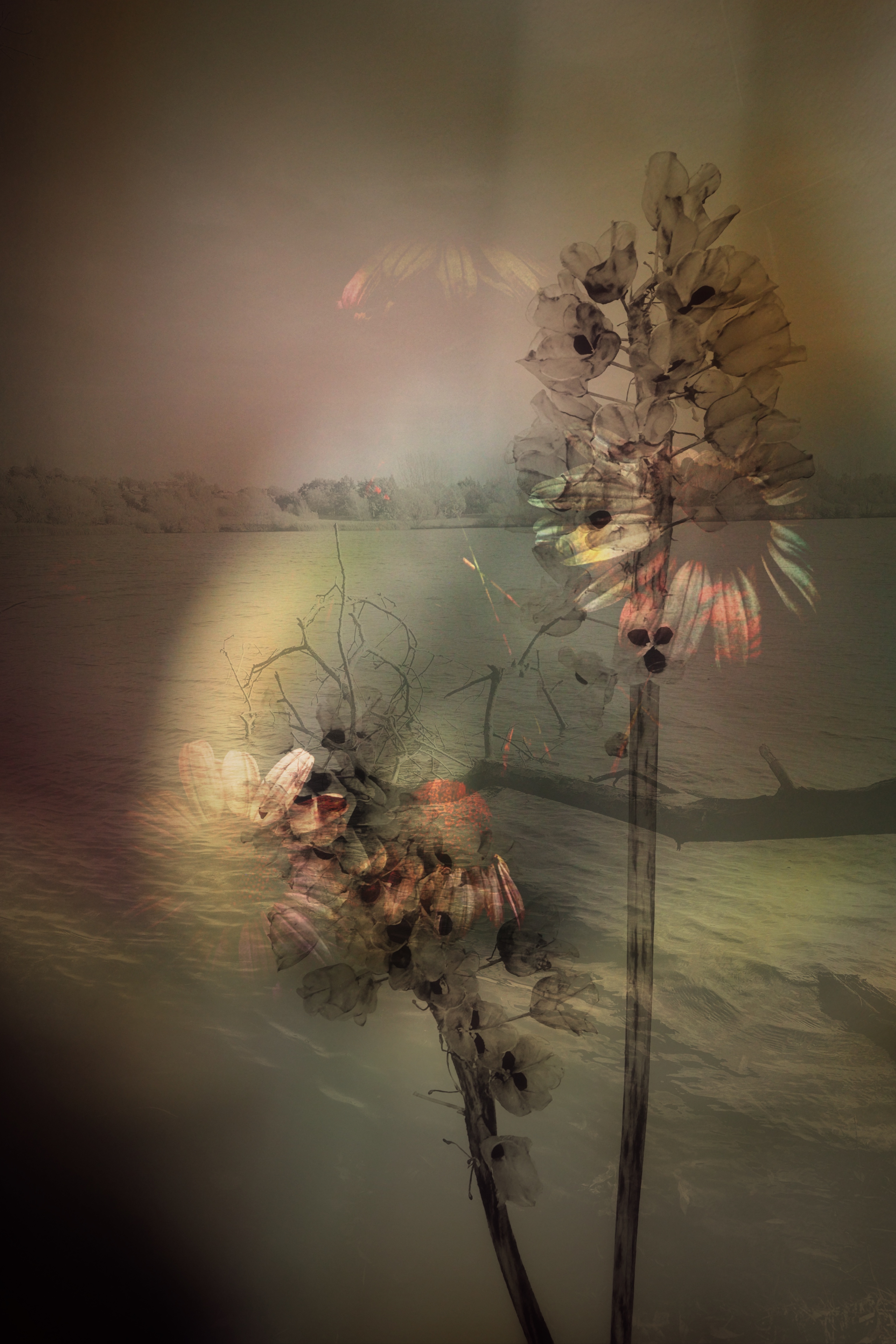 Fading Away #41