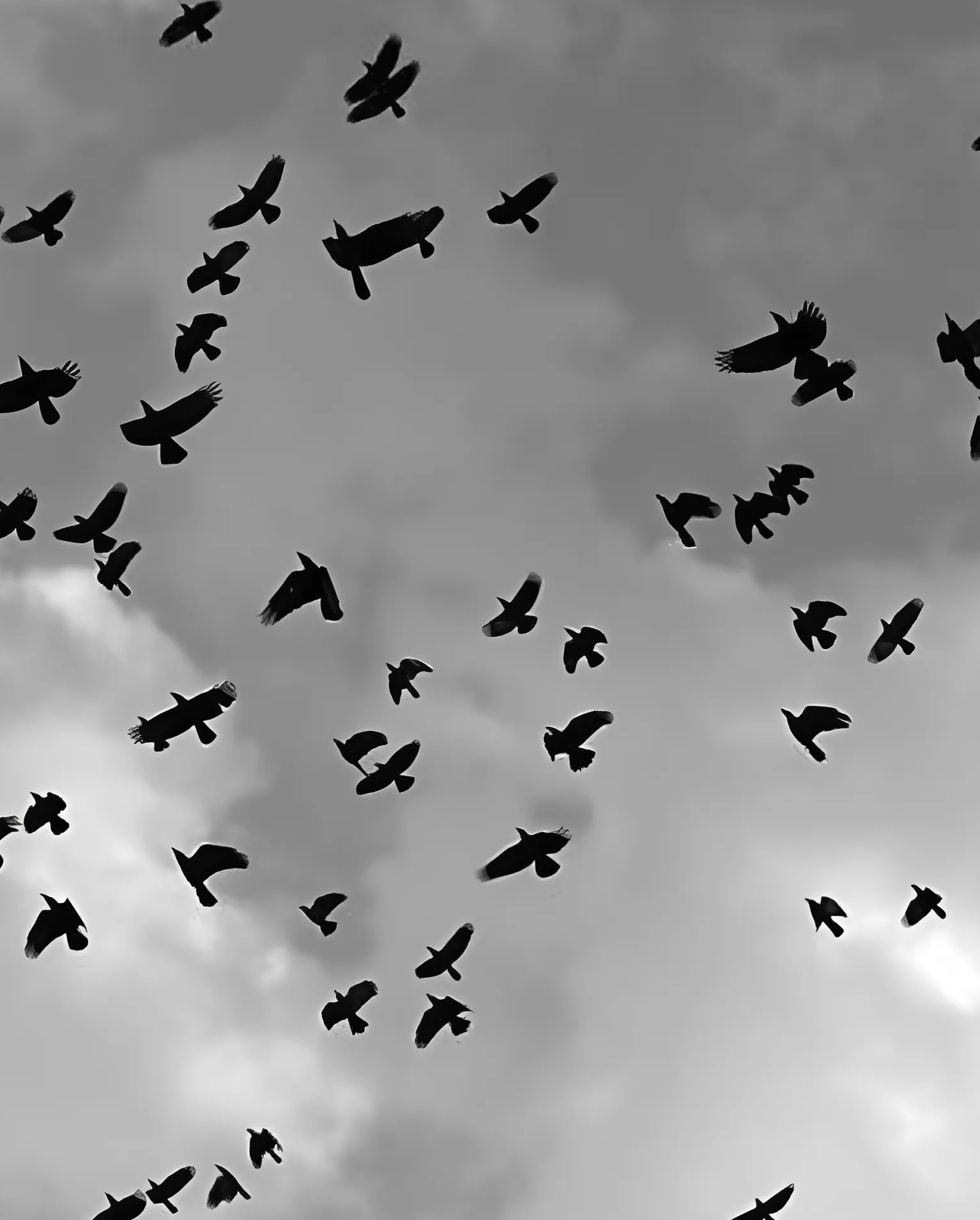 Migration