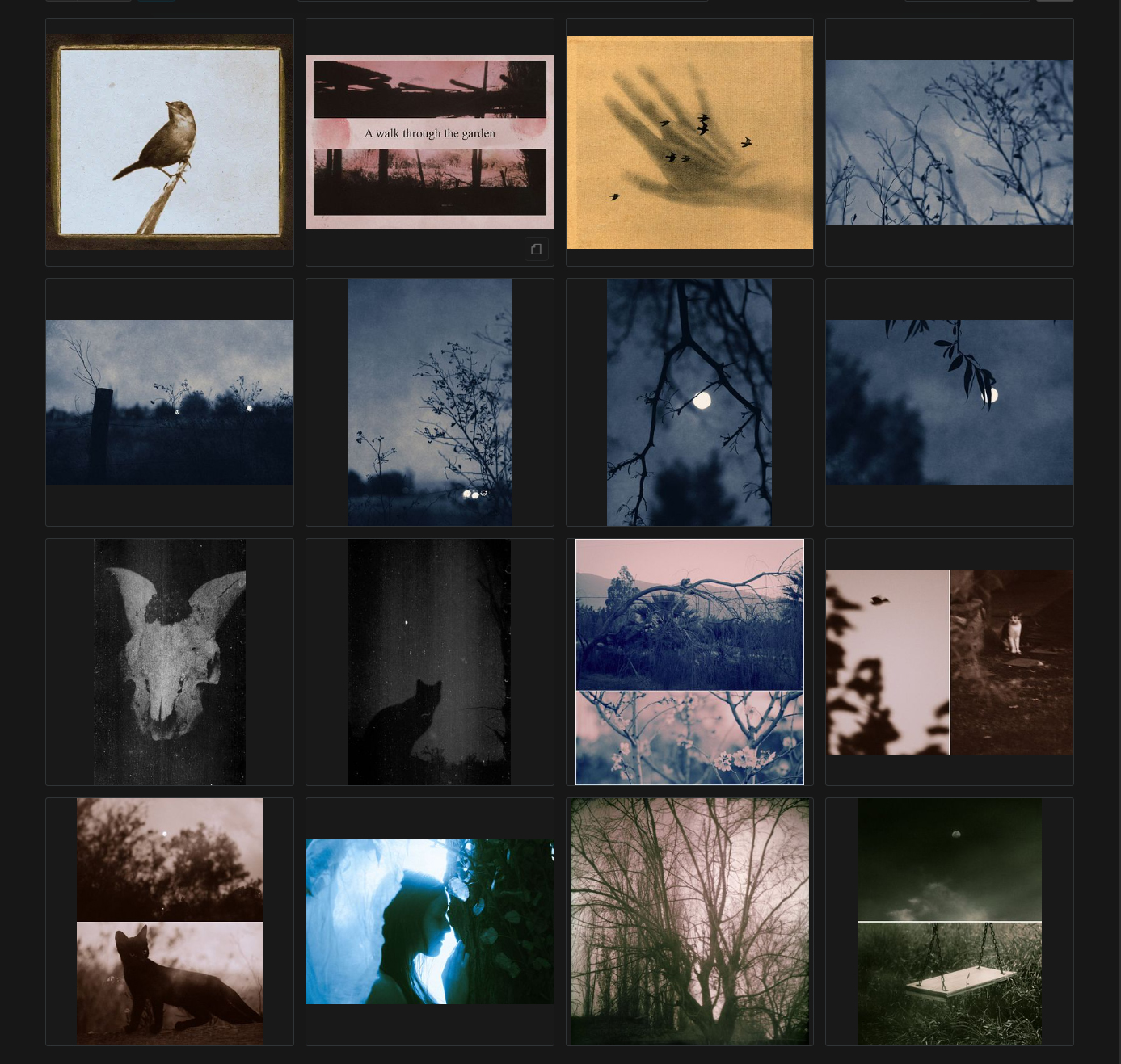  The primitive garden