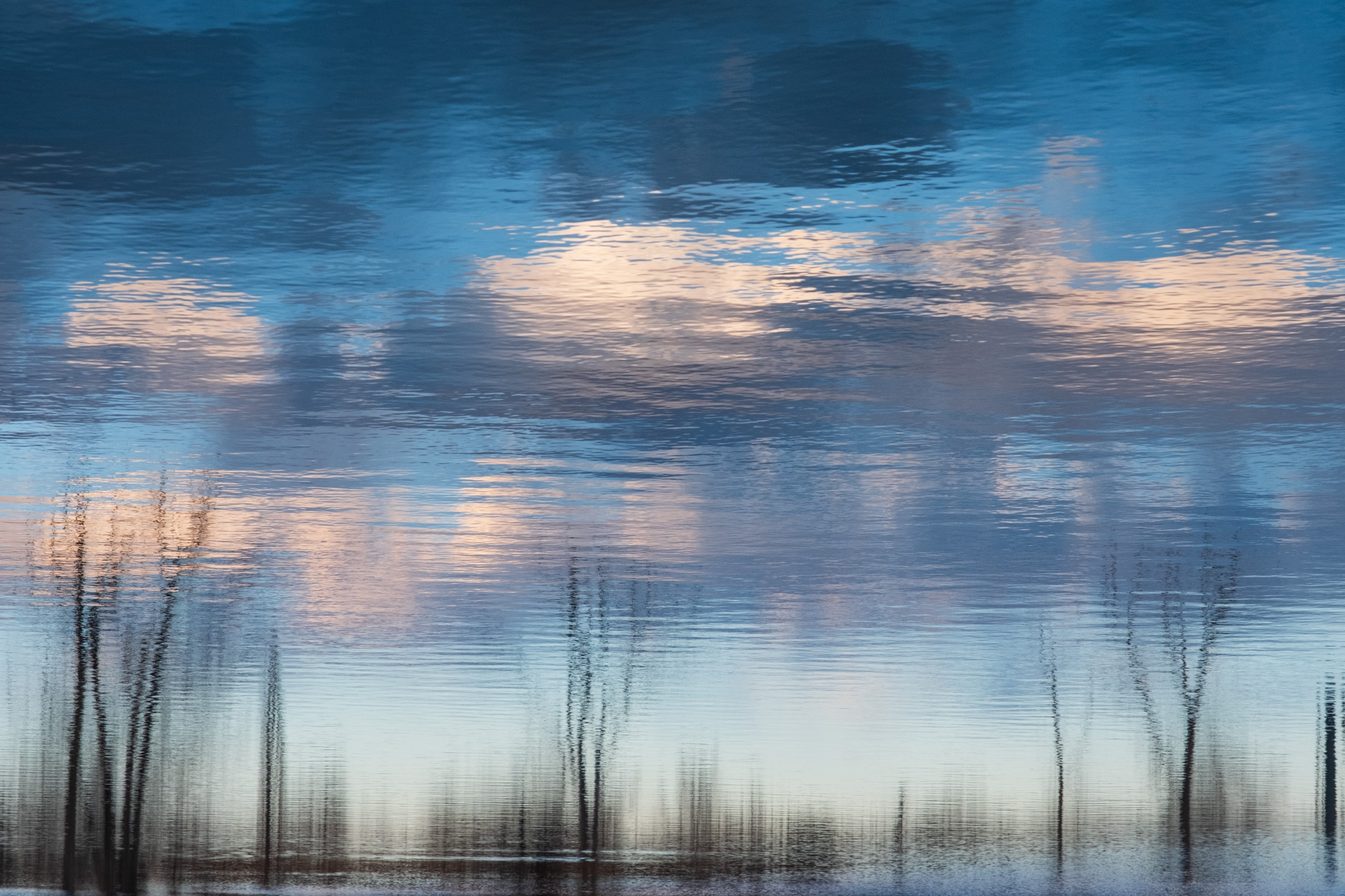 A Winter's Reflection