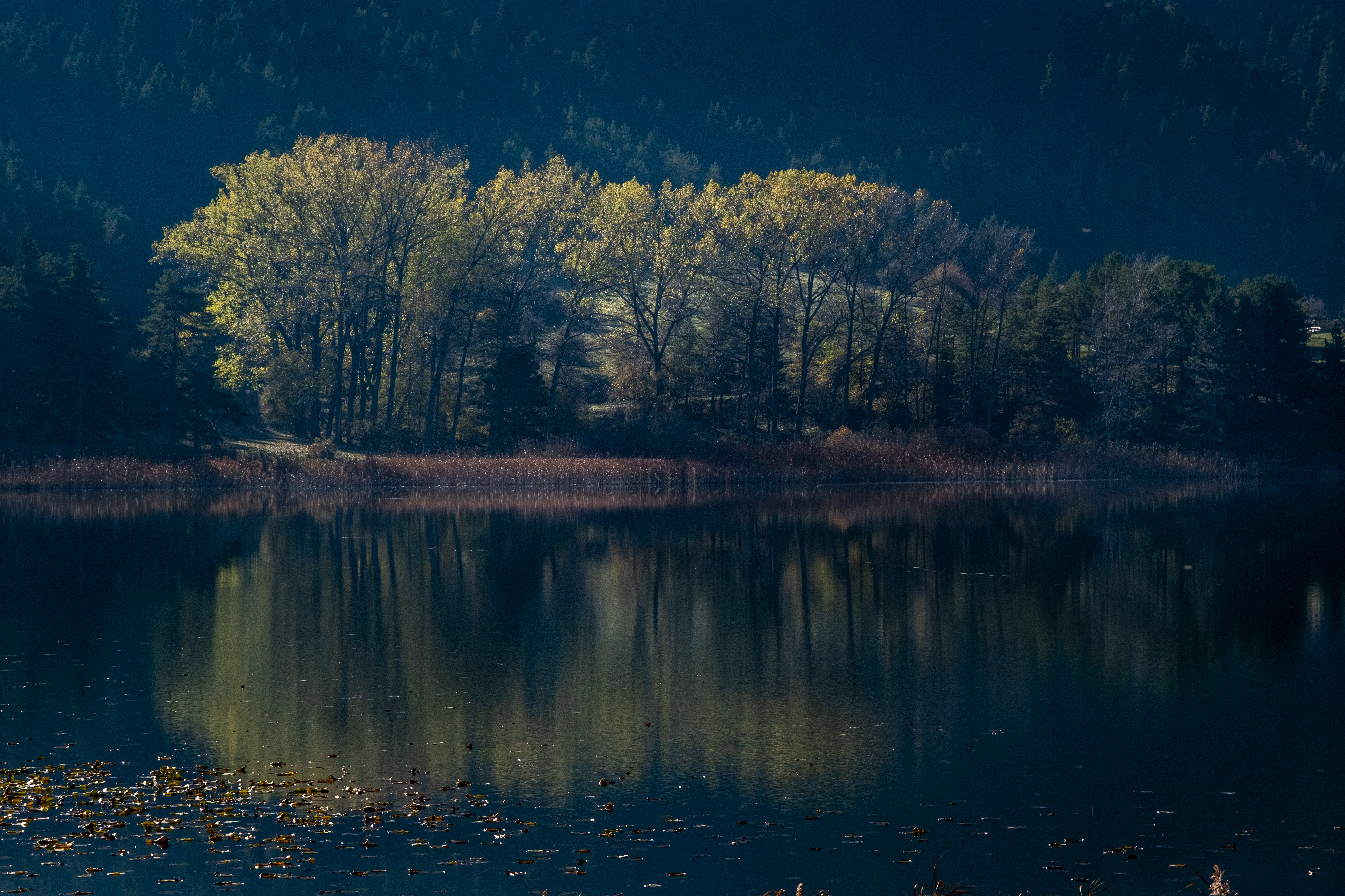 Reflection #3 #28