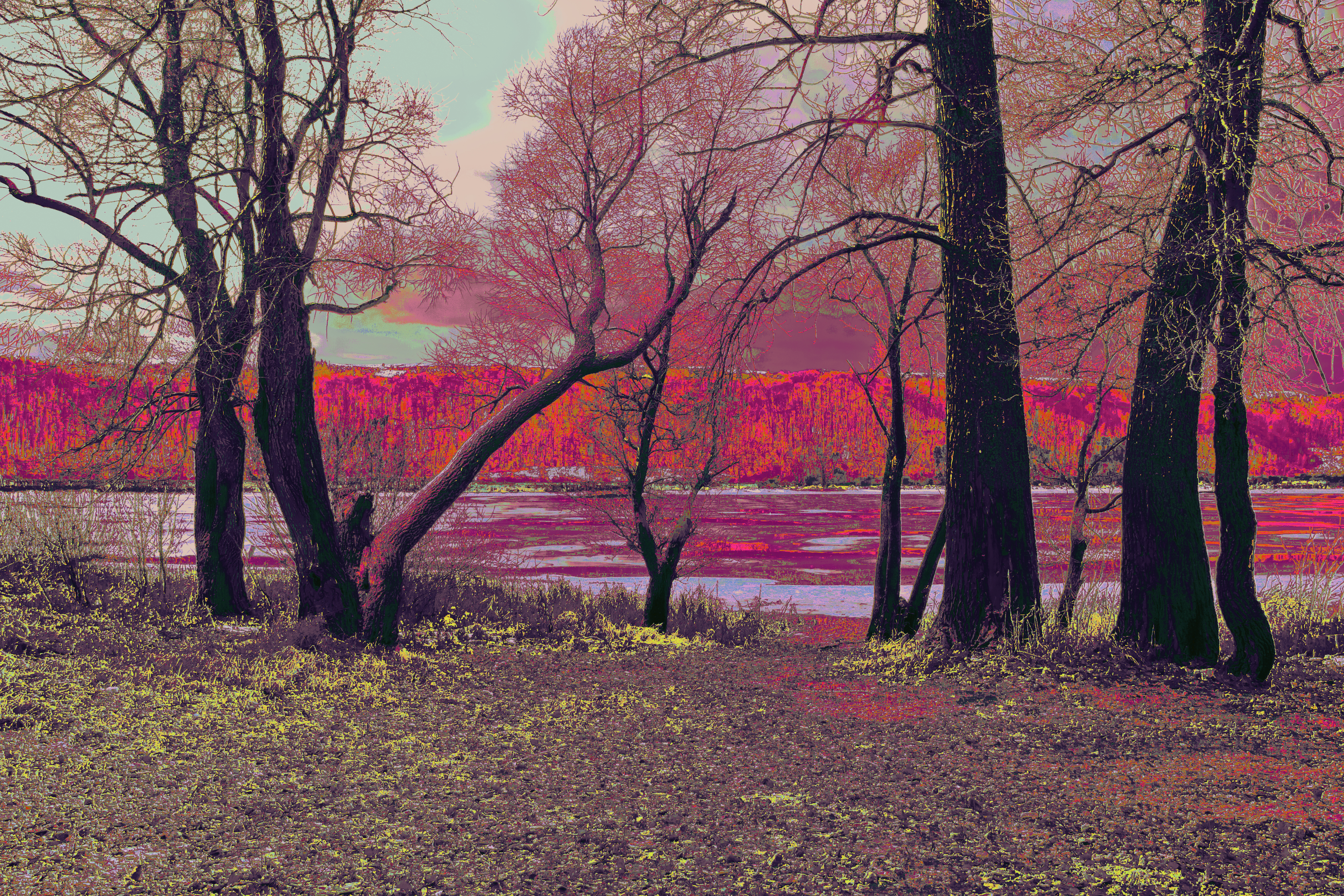 PICTURESQUE AUTUMN 0496