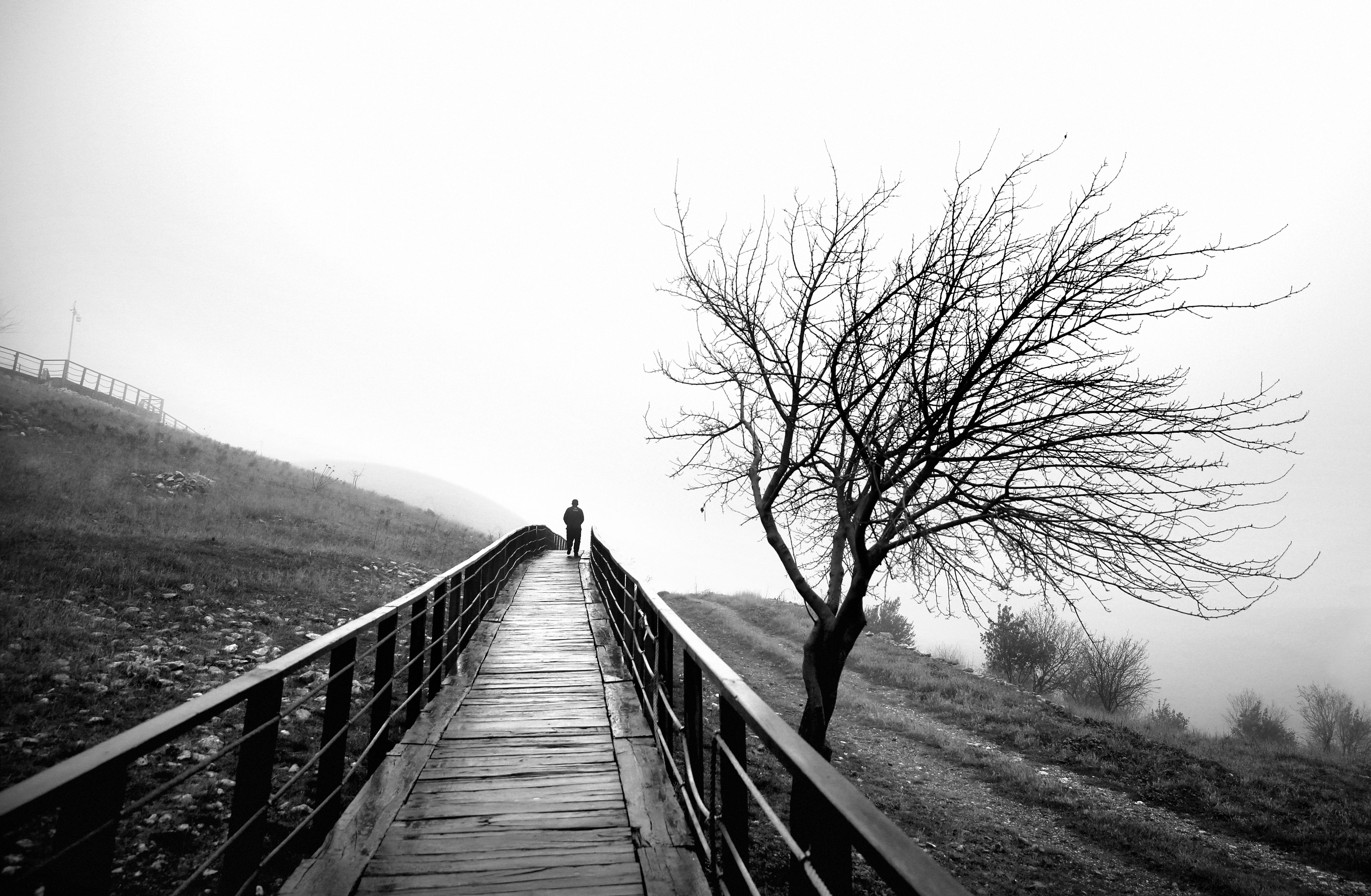 Walking far away #17