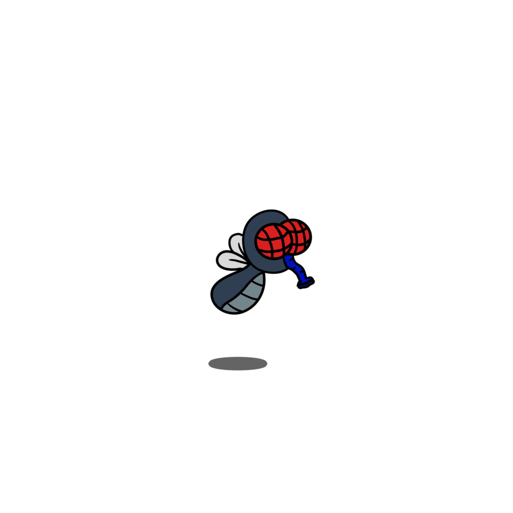 Framed Fly
