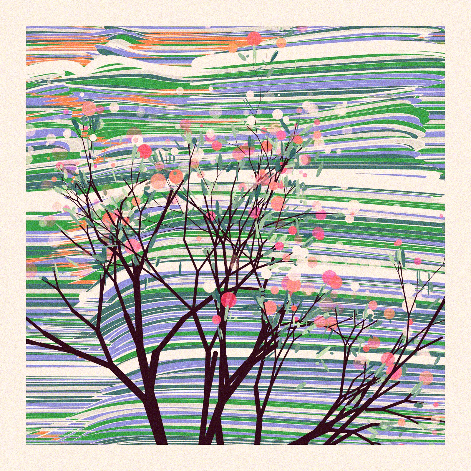 The Blossoms Behind the River