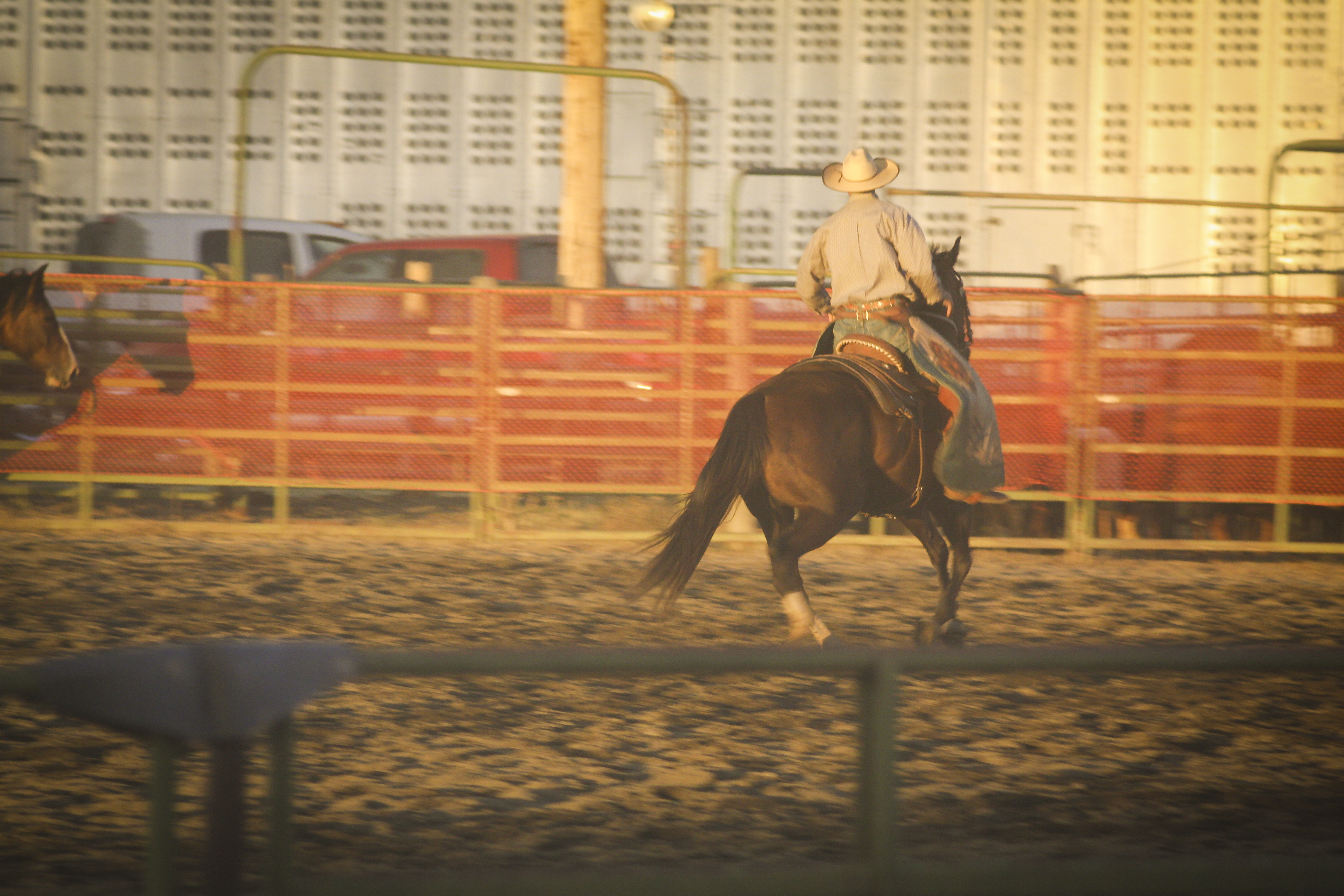 IRL Rodeo!  (1 of 5)