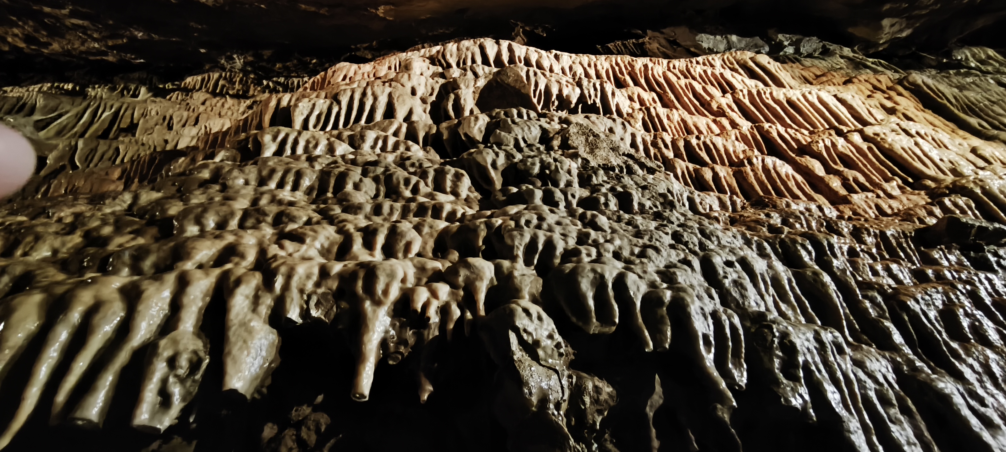 Grotte de Fontrabiouse #443