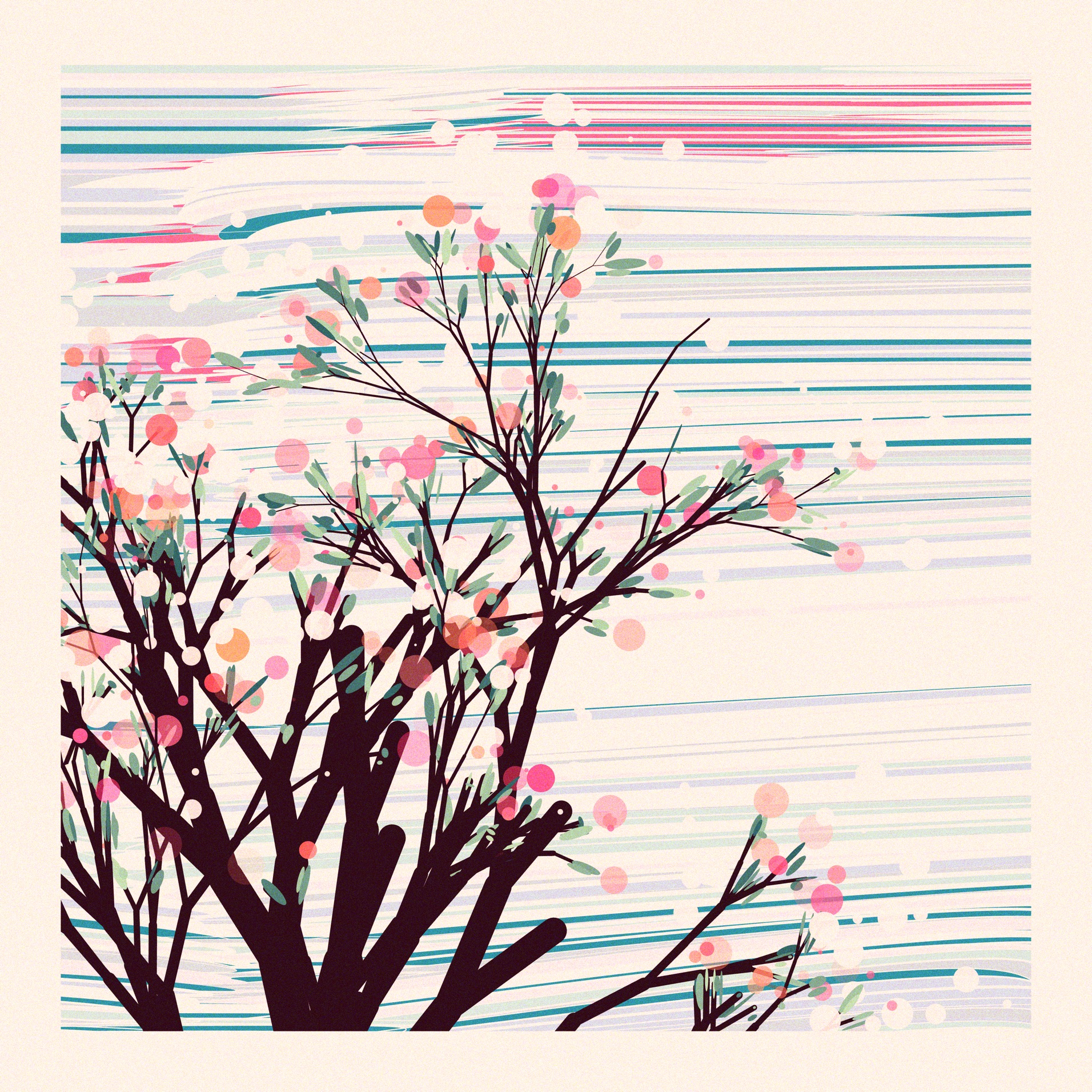 The Blossoms Behind the River